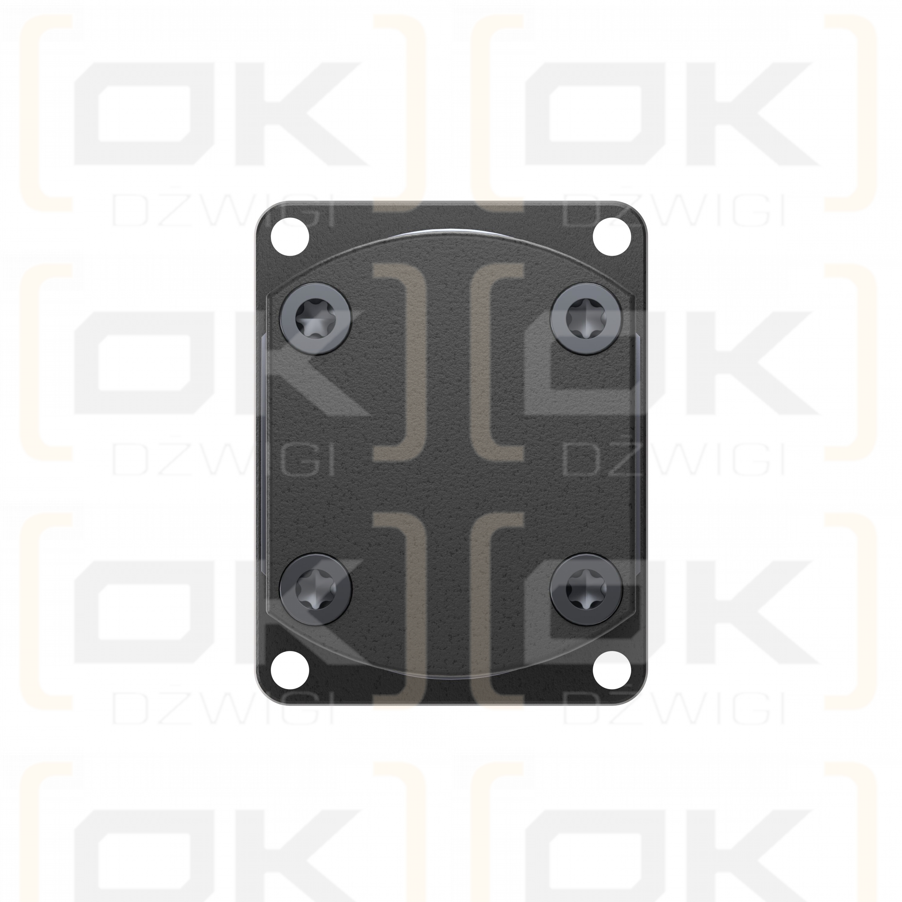 AZPF-10-011LHO30MX-S0032