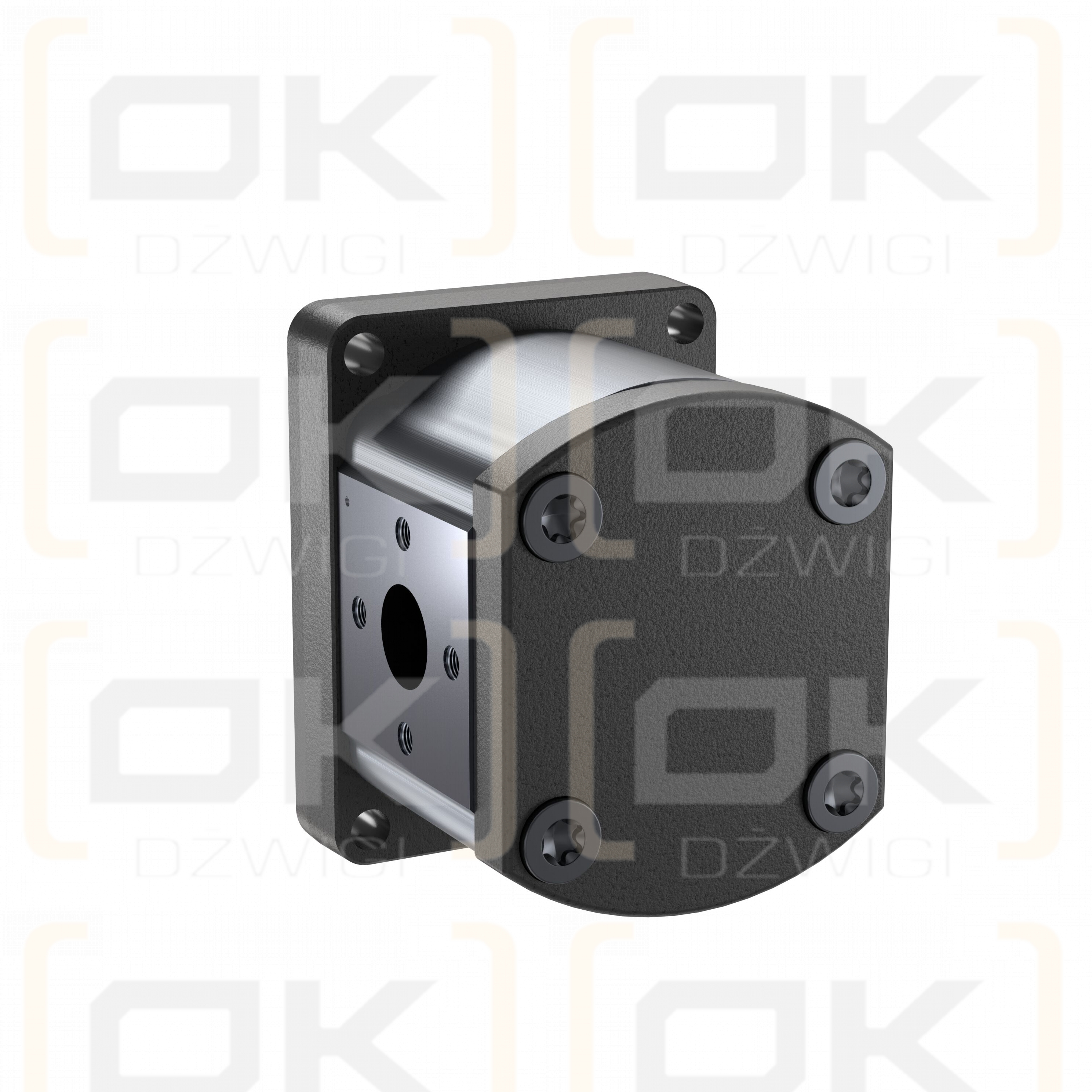 AZPF-10-011LHO30MX-S0032