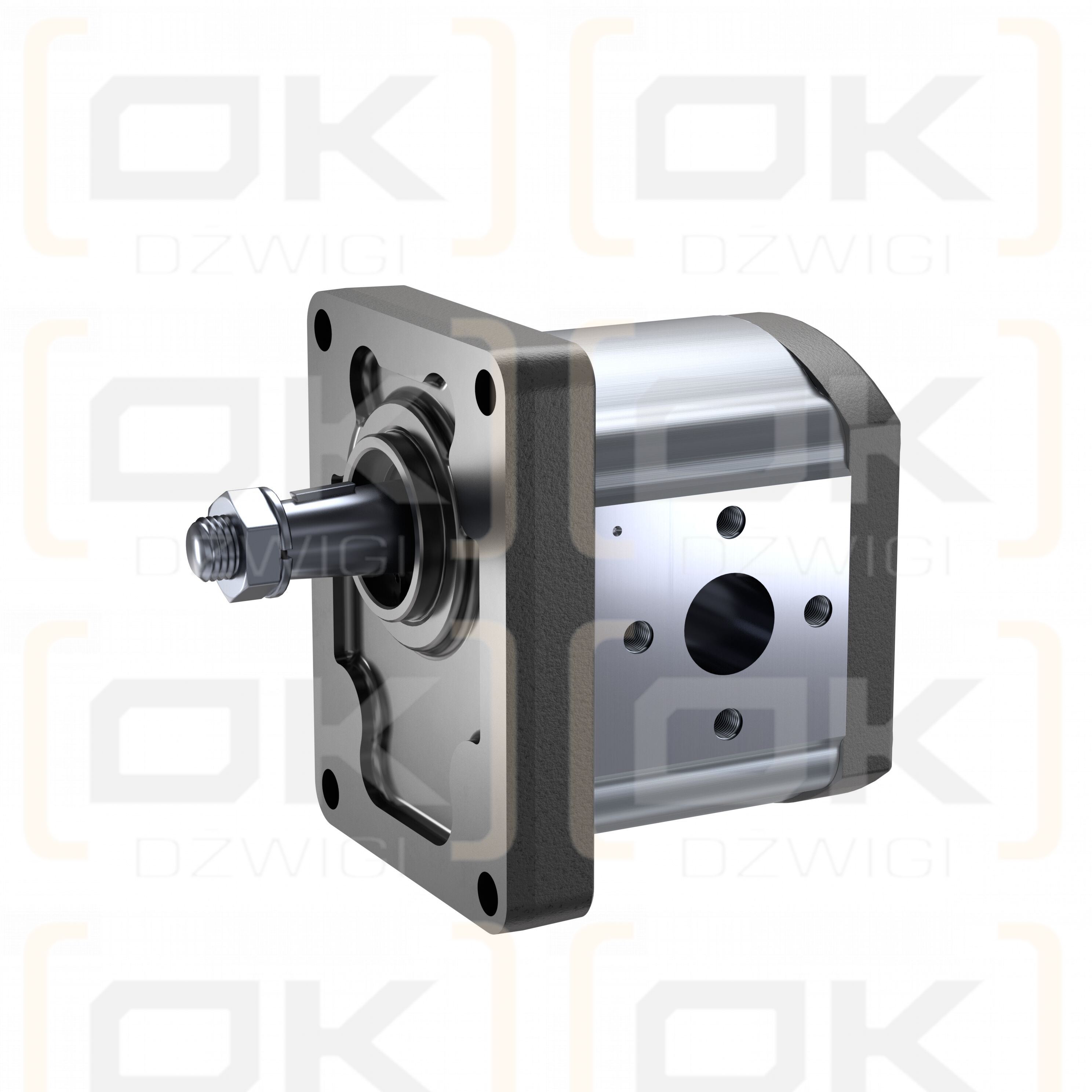 AZPF-10-011LHO30MX-S0032