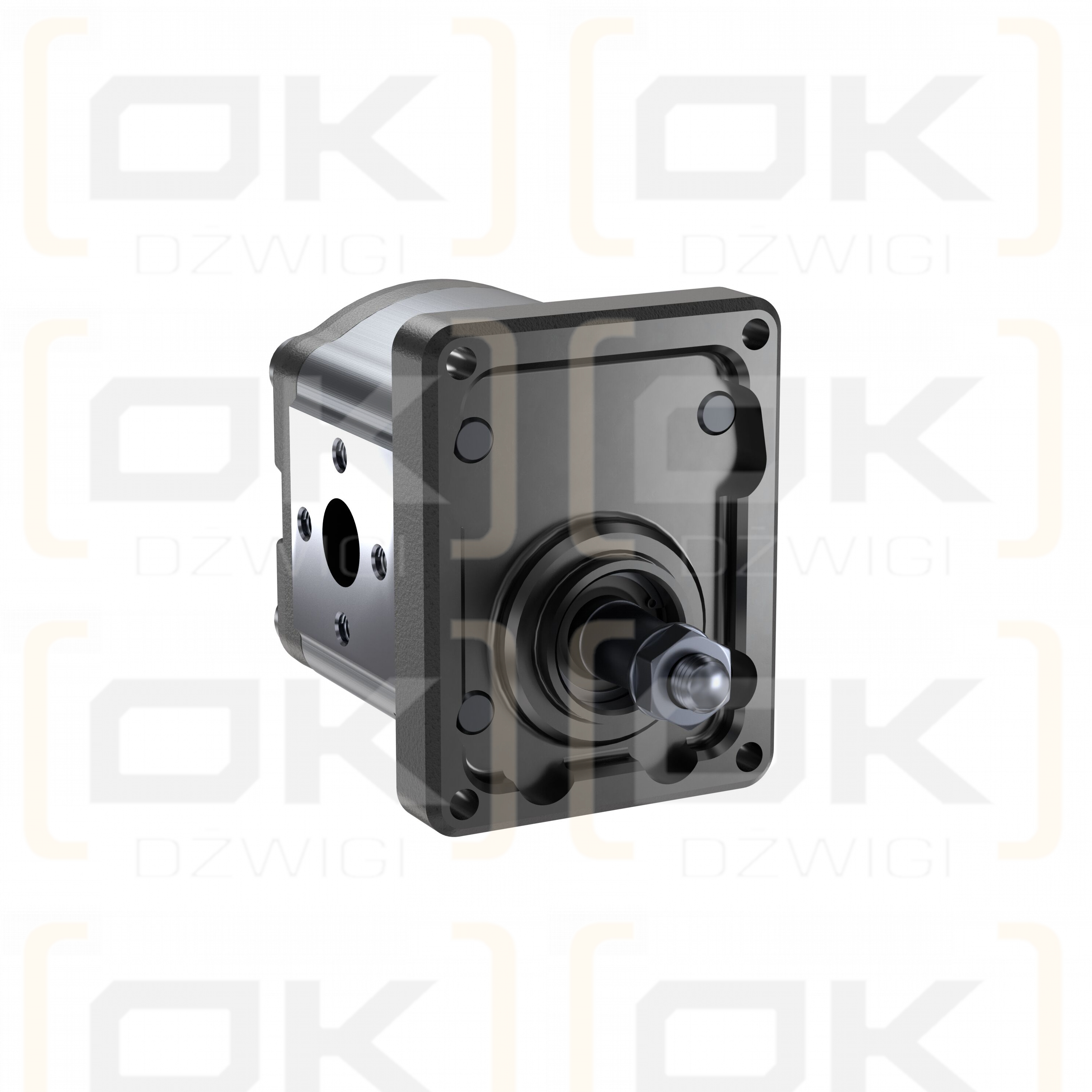 Pompa zębata Bosch Rexroth AZPF-10-011LHO30PB-S0285