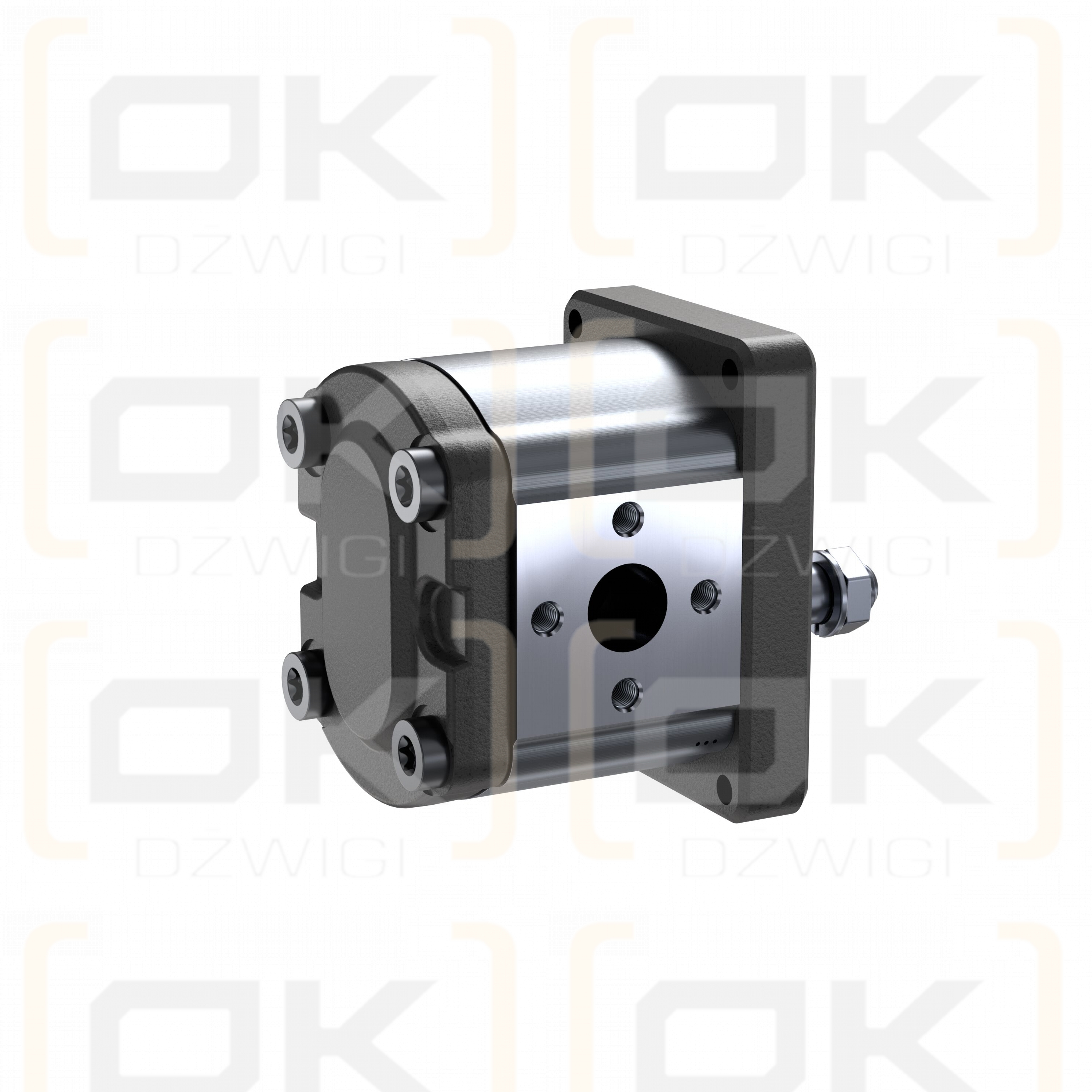 Pompa zębata Bosch Rexroth AZPF-10-011LHO30PB-S0285