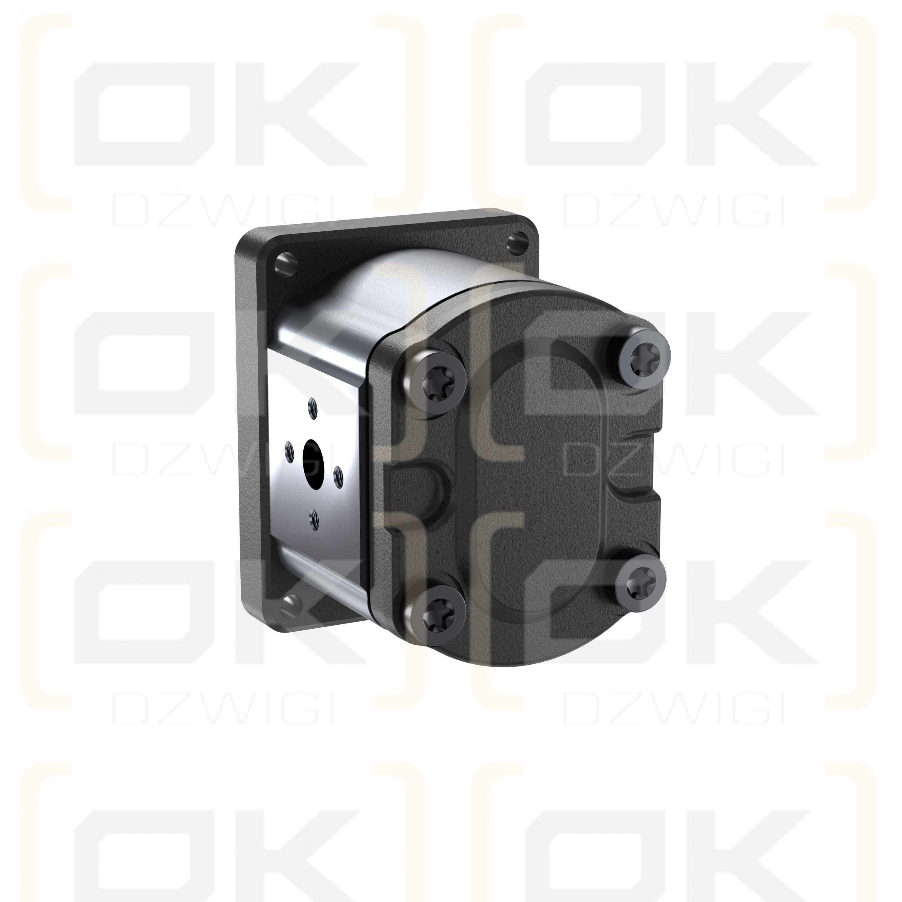 Pompa zębata Bosch Rexroth AZPF-10-011LHO30PB-S0285