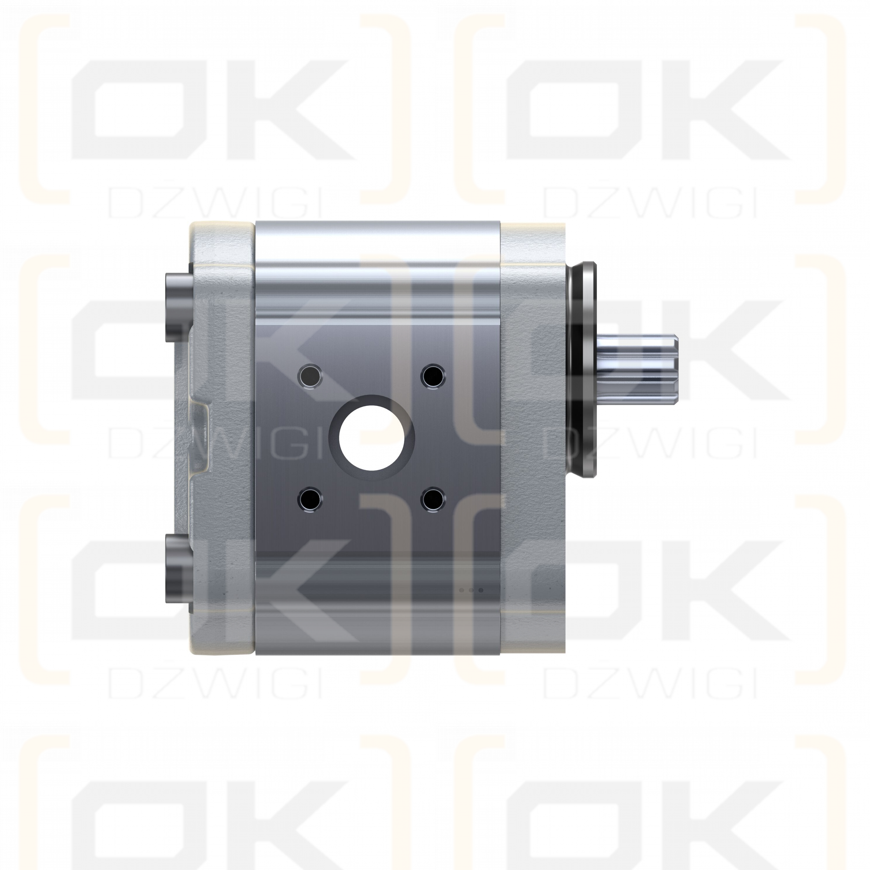 Pompa zębata Bosch Rexroth AZPF-10-011LFP20PB