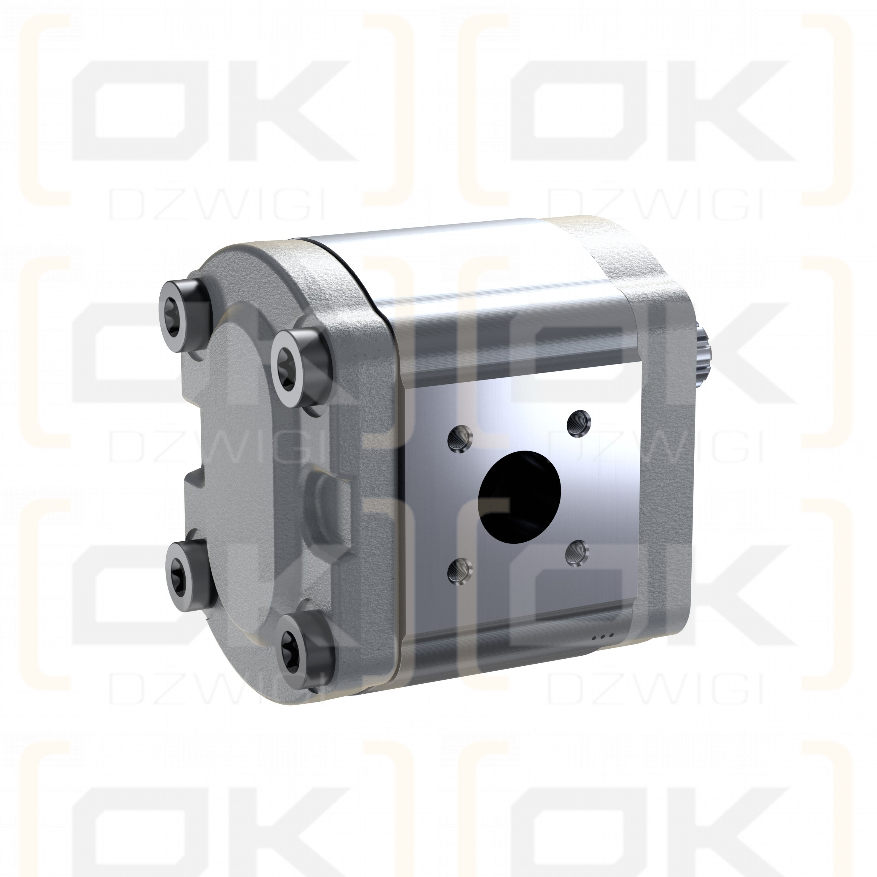 Pompa zębata Bosch Rexroth AZPF-10-011LFP20PB