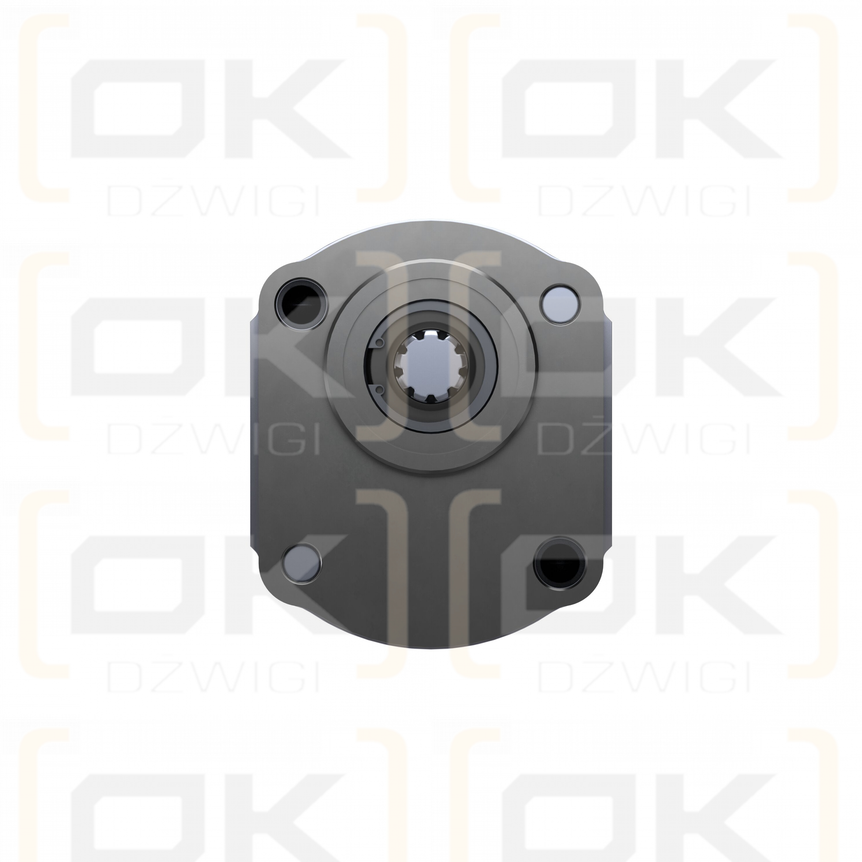 Pompa zębata Bosch Rexroth AZPF-10-011LFP20PB