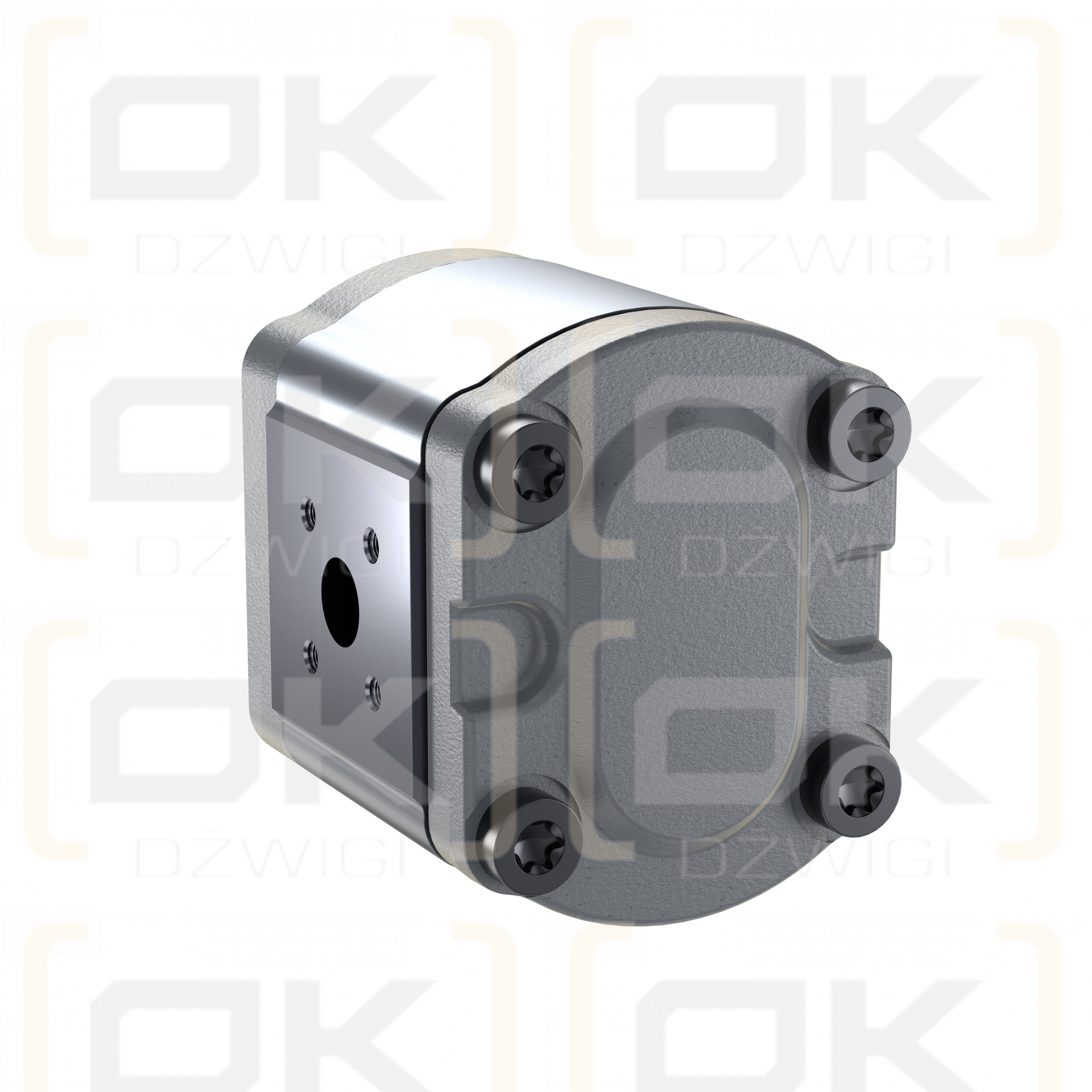 Pompa zębata Bosch Rexroth AZPF-10-011LFP20PB