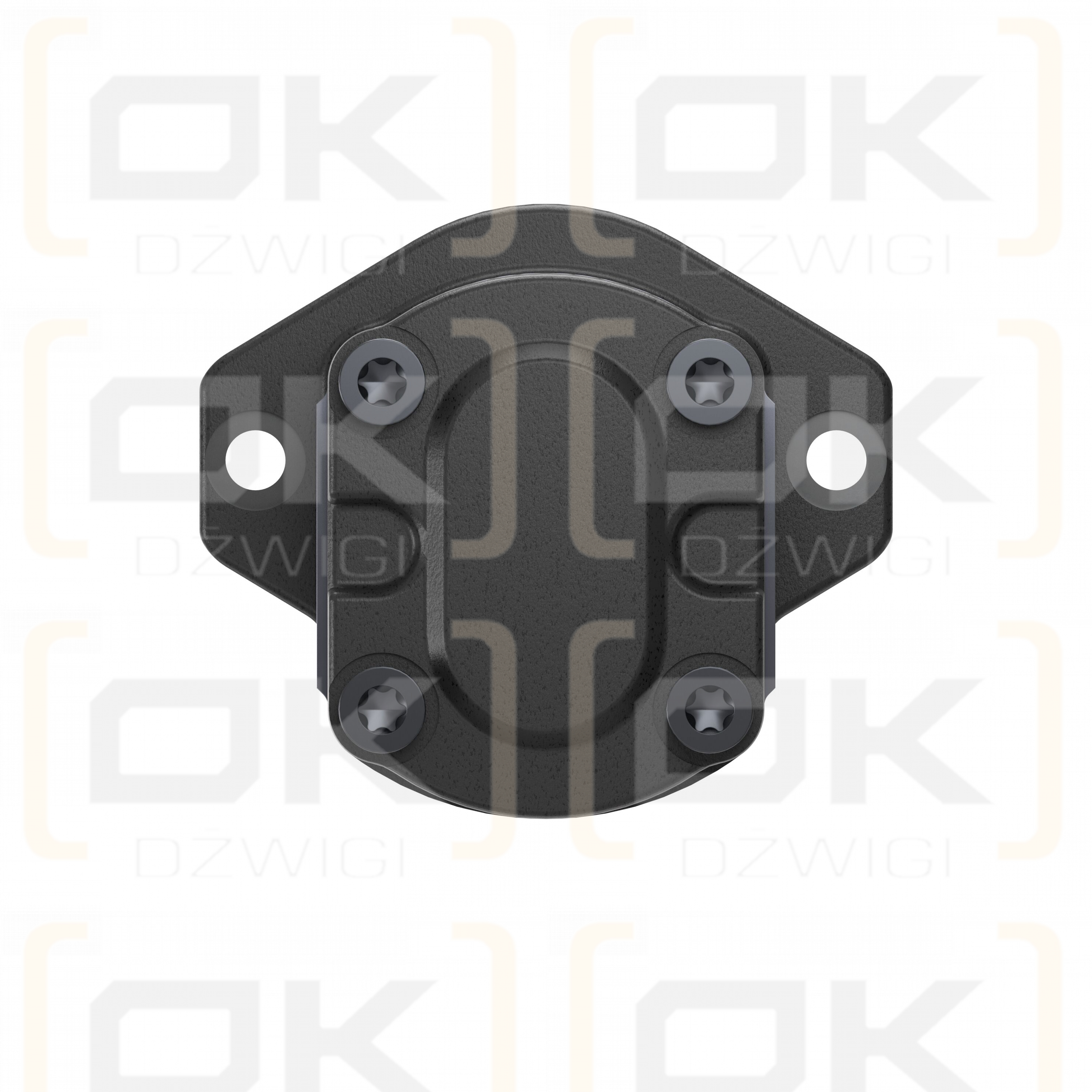 Pompa zębata Bosch Rexroth AZPF-11-019RRR20KB-S0081