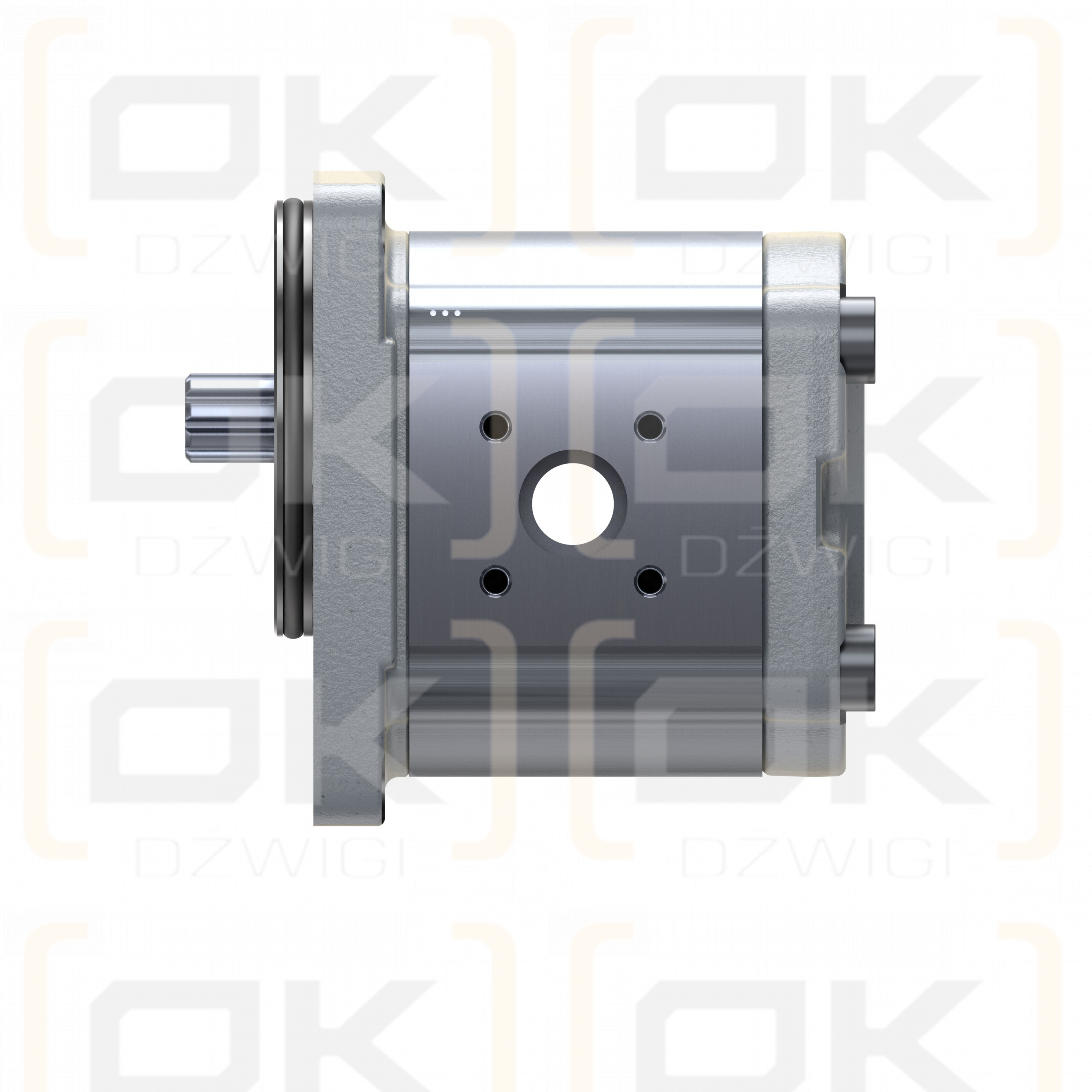 Шестеренчатый насос Bosch Rexroth AZPF-12-016LFB20PB-S0019