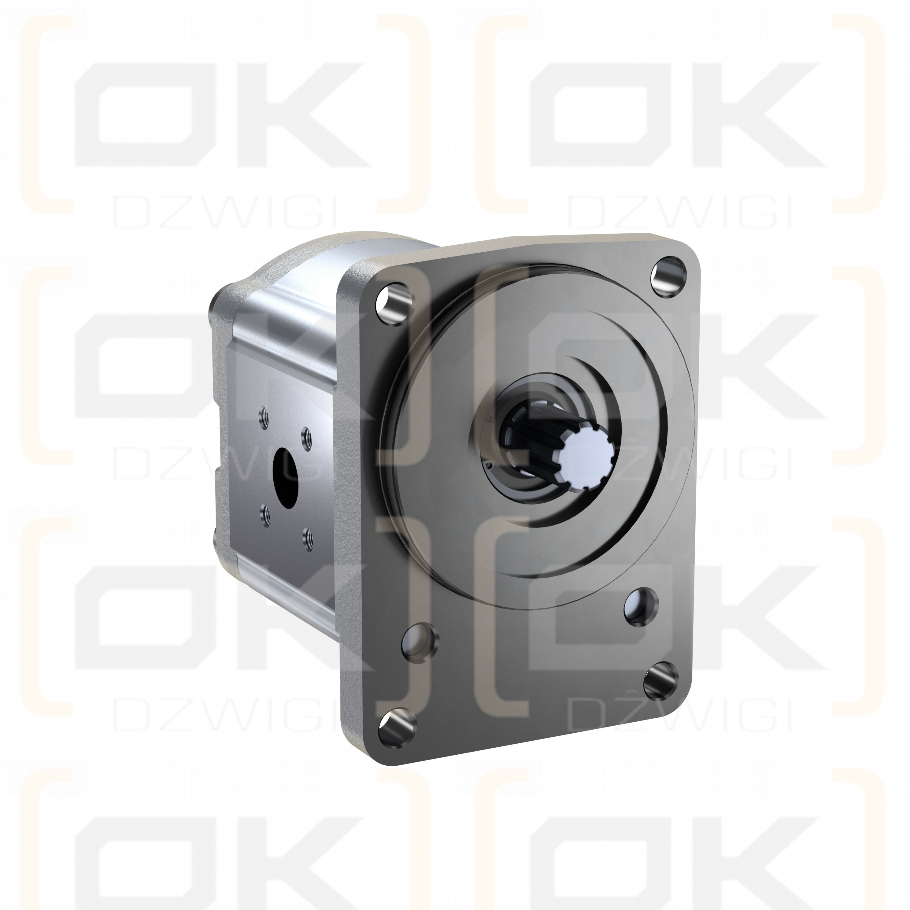 Шестеренчатый насос Bosch Rexroth AZPF-12-016LFB20PB-S0019