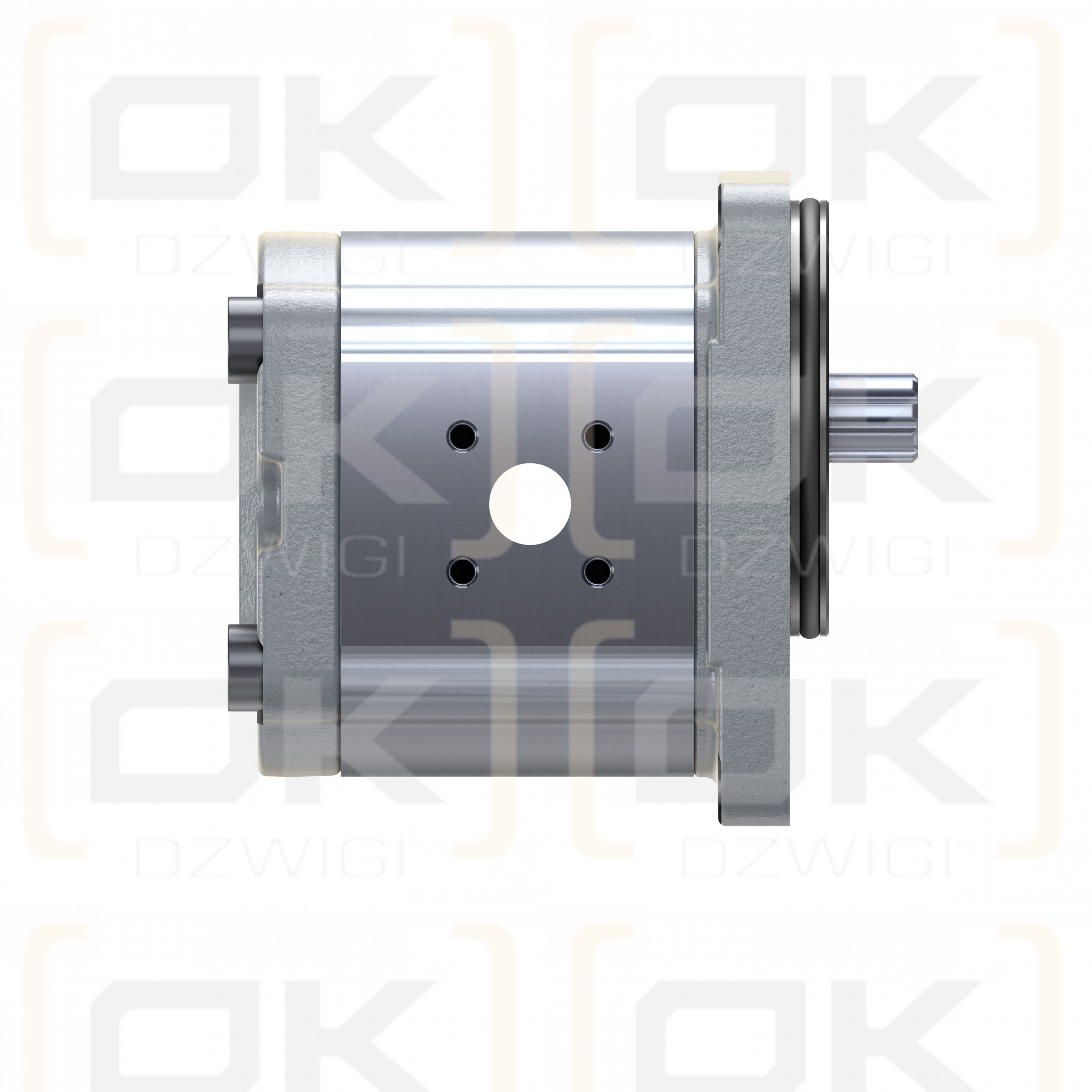 Шестеренчатый насос Bosch Rexroth AZPF-12-016LFB20PB-S0019