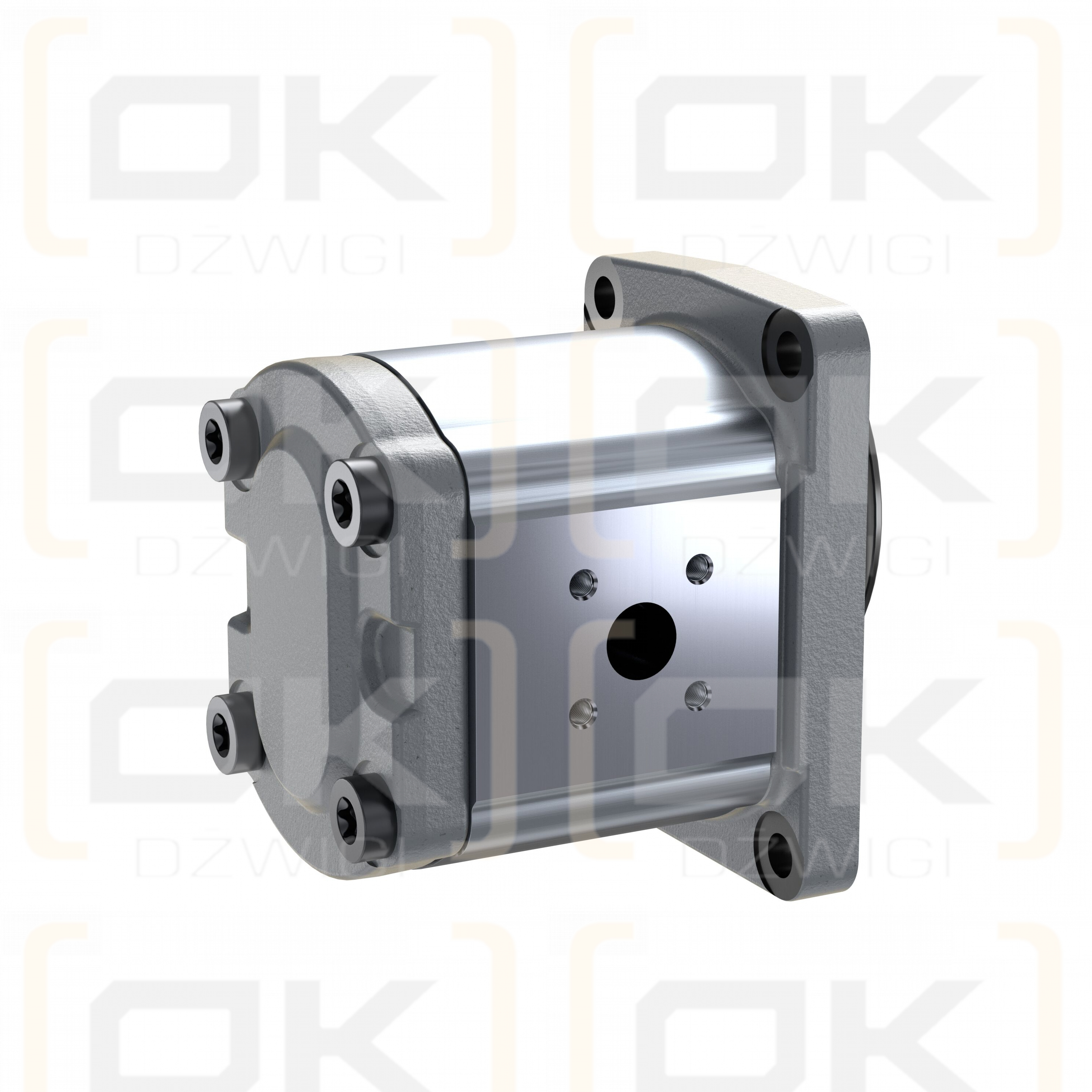 Шестеренчатый насос Bosch Rexroth AZPF-12-016LFB20PB-S0019