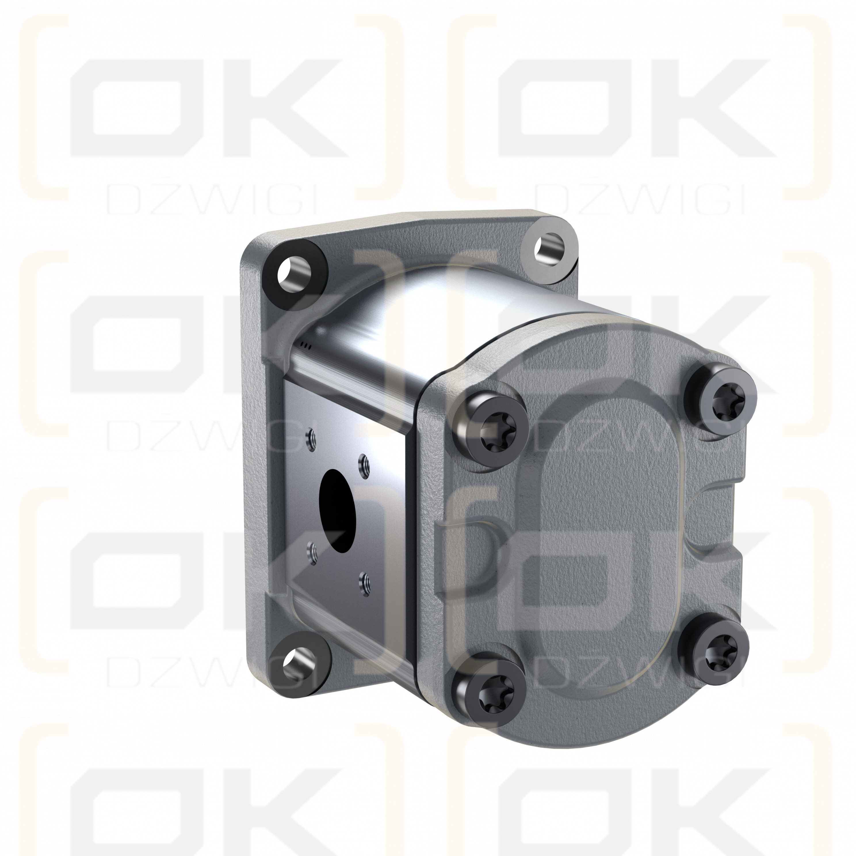 Шестеренчатый насос Bosch Rexroth AZPF-12-016LFB20PB-S0019