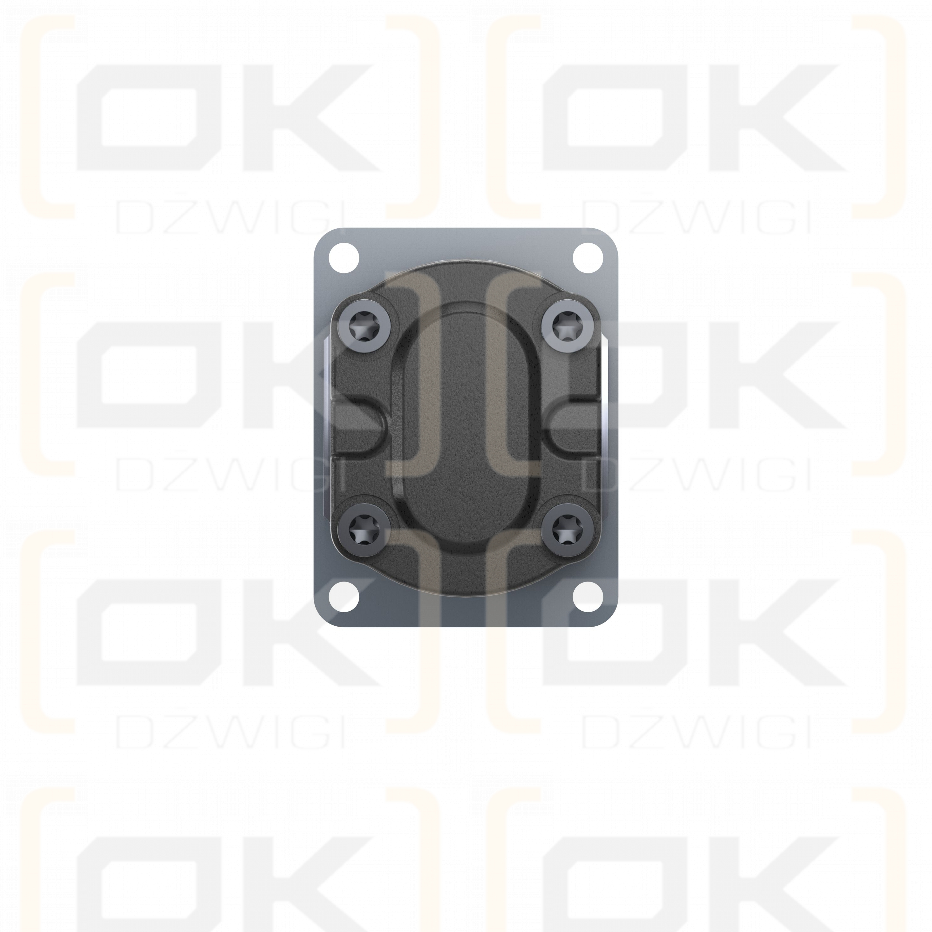 Шестеренчатый гидравлический насос Rexroth AZPF-22-022RSG20PB-S0012