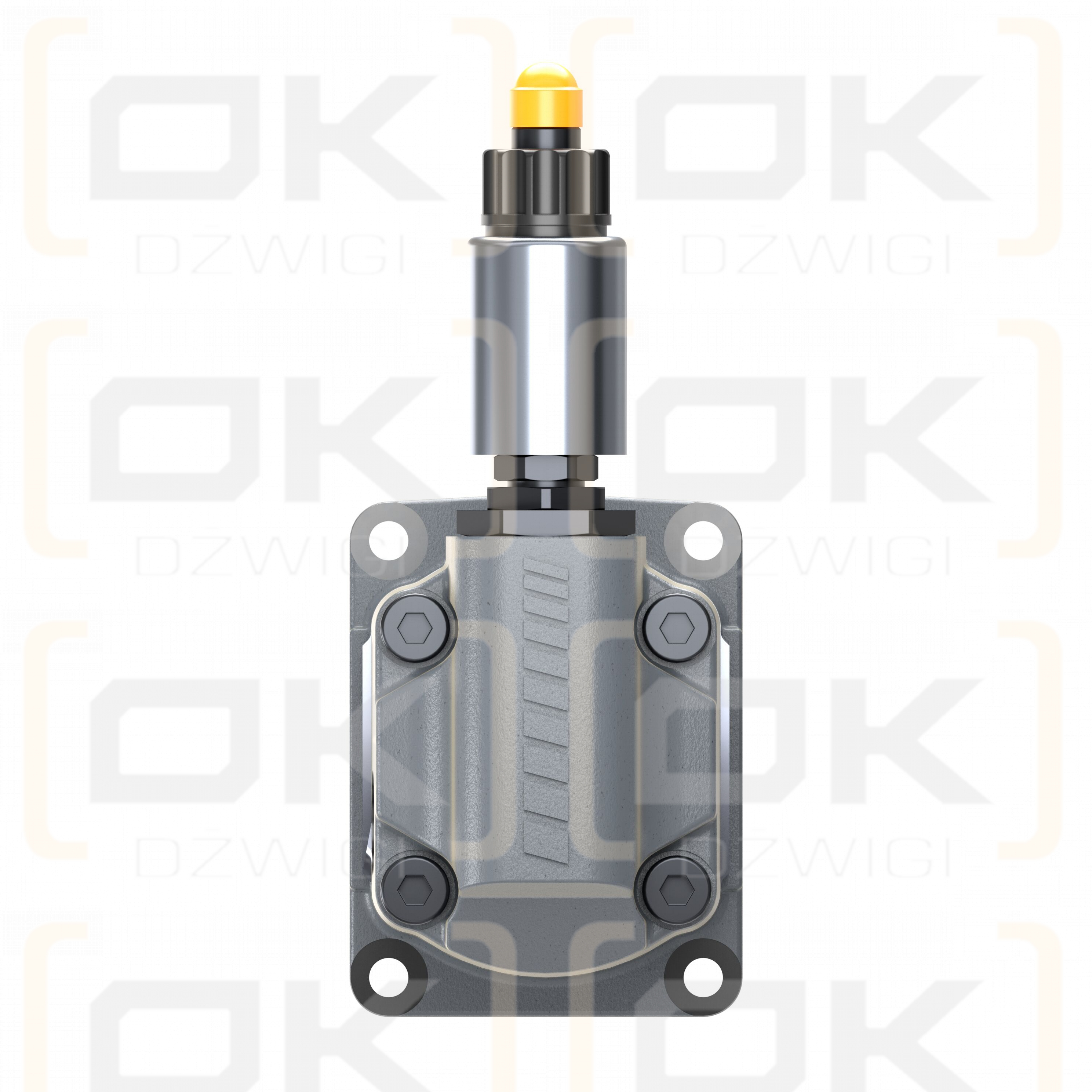 SILNIK ZĘBATY REXROTH AZMF-13-019RCB20PG220XX-S0947