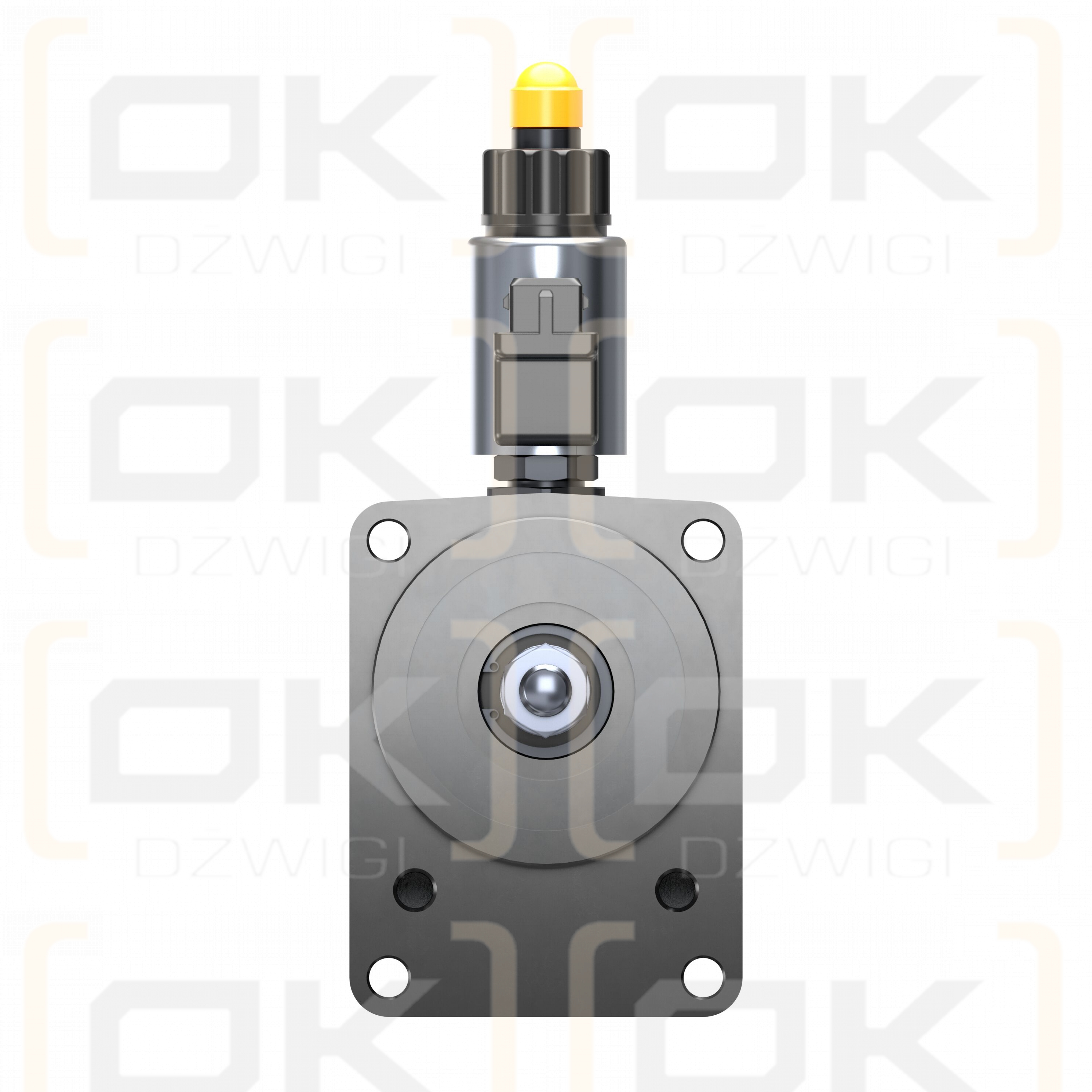 SILNIK ZĘBATY REXROTH AZMF-13-019RCB20PG220XX-S0947