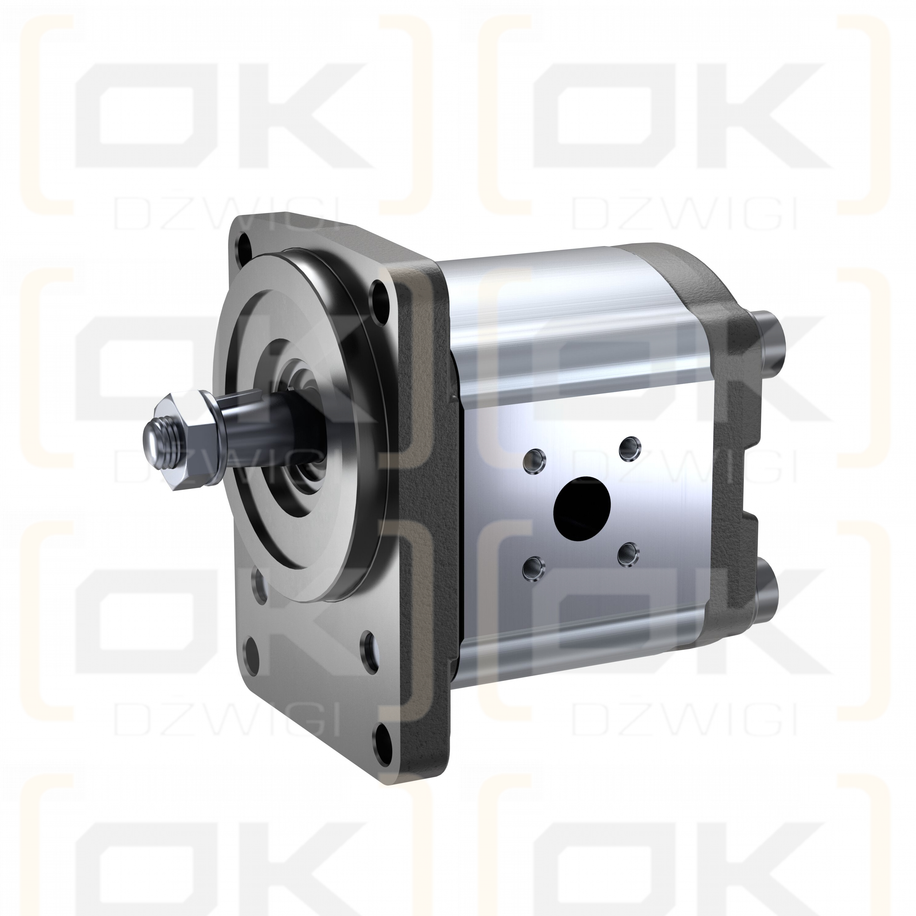 Bosch Rexroth AZMF-11-016UCB20PL Zahnradpumpe