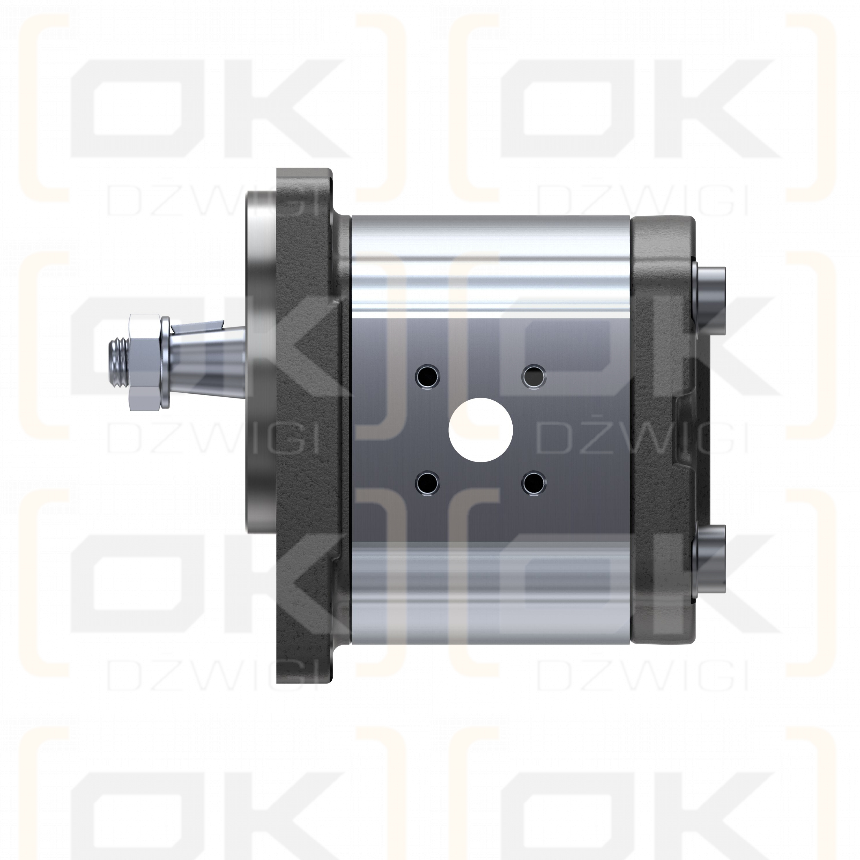 Bosch Rexroth AZMF-11-016UCB20PL Zahnradpumpe