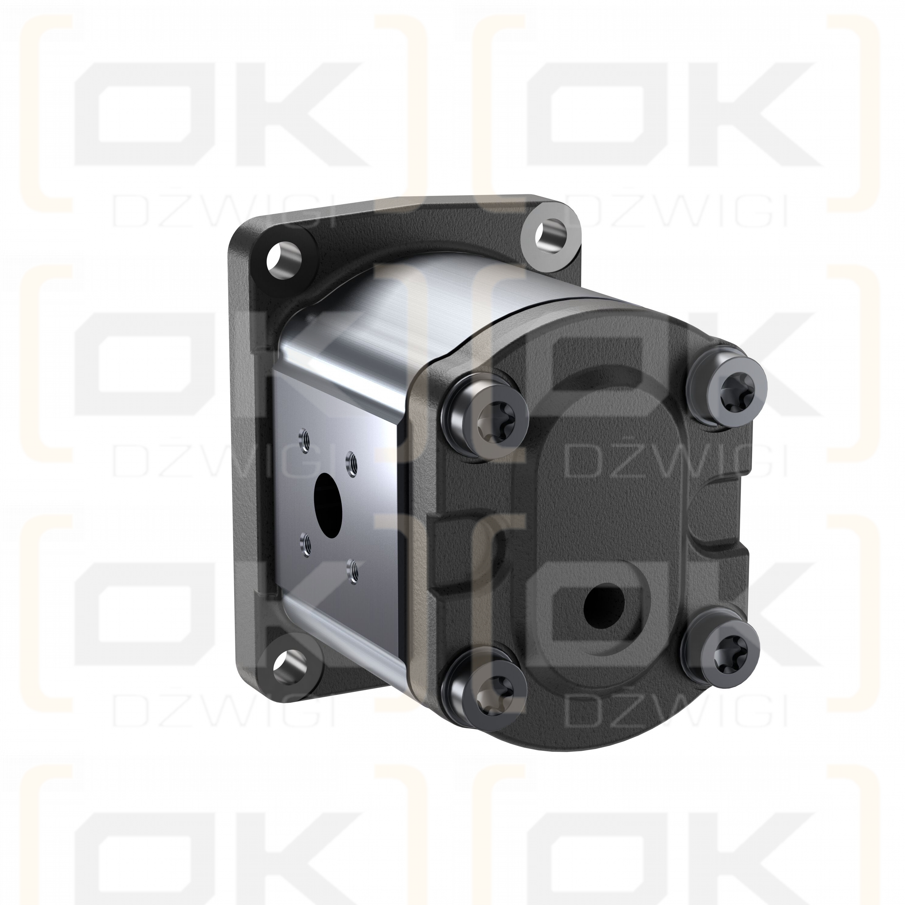 Bosch Rexroth AZMF-11-016UCB20PL Zahnradpumpe