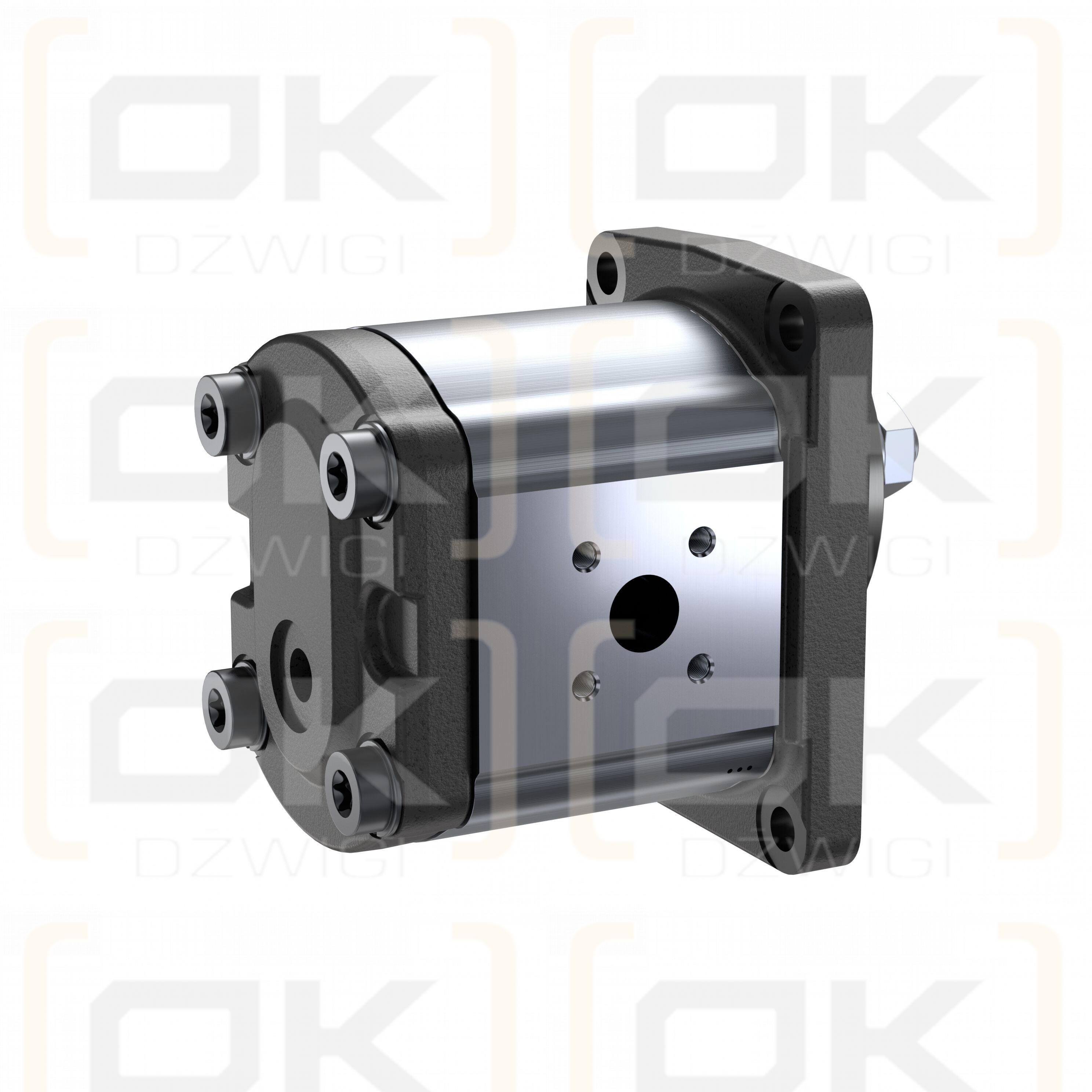 Bosch Rexroth AZMF-11-016UCB20PL Zahnradpumpe