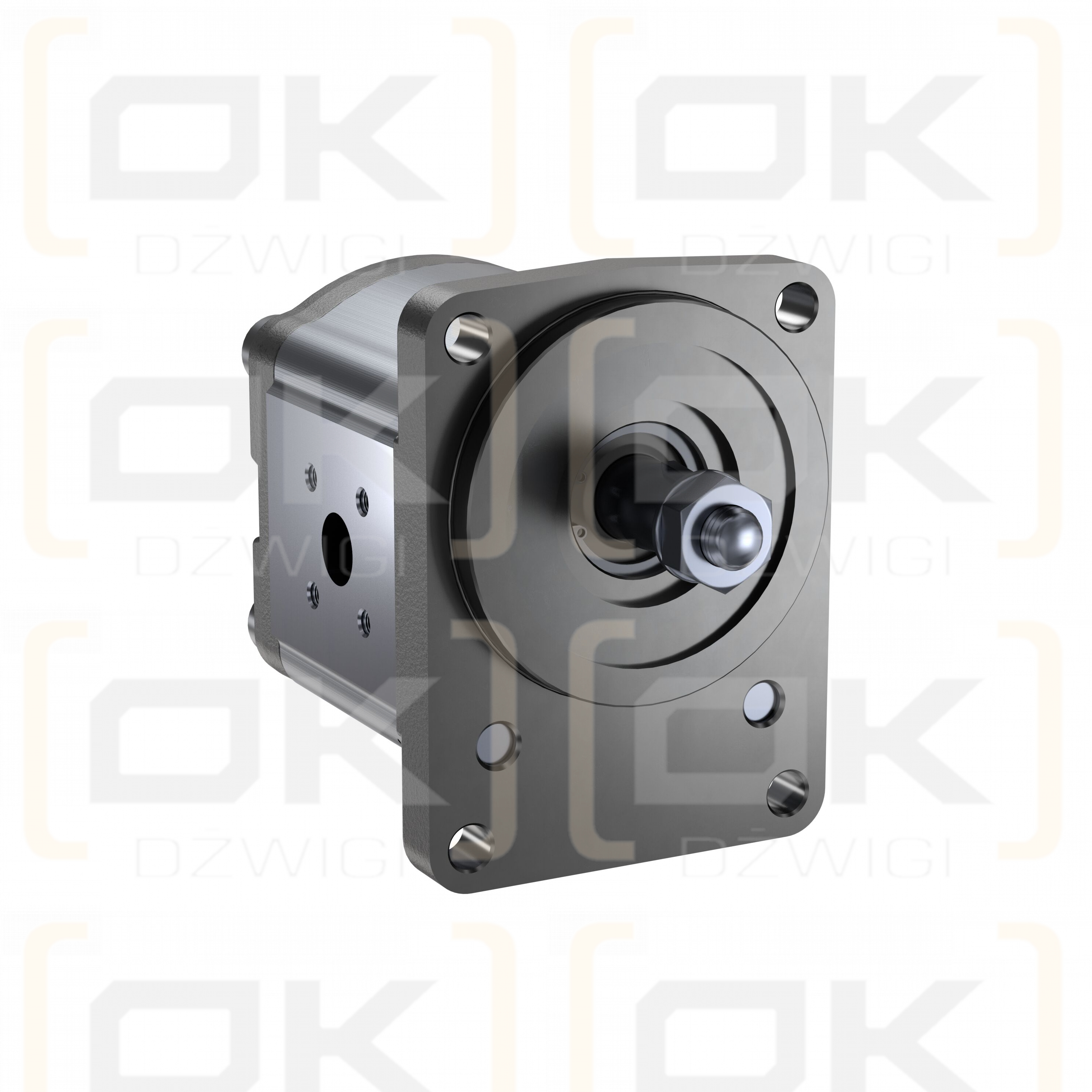 Bosch Rexroth AZMF-11-016UCB20PL Zahnradpumpe