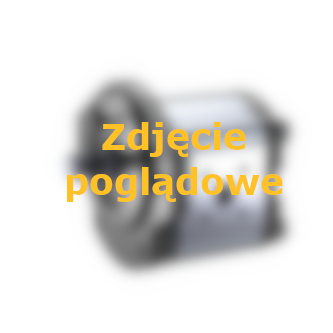 ZAHNRADPUMPE AZPS-21-019RRR20MB