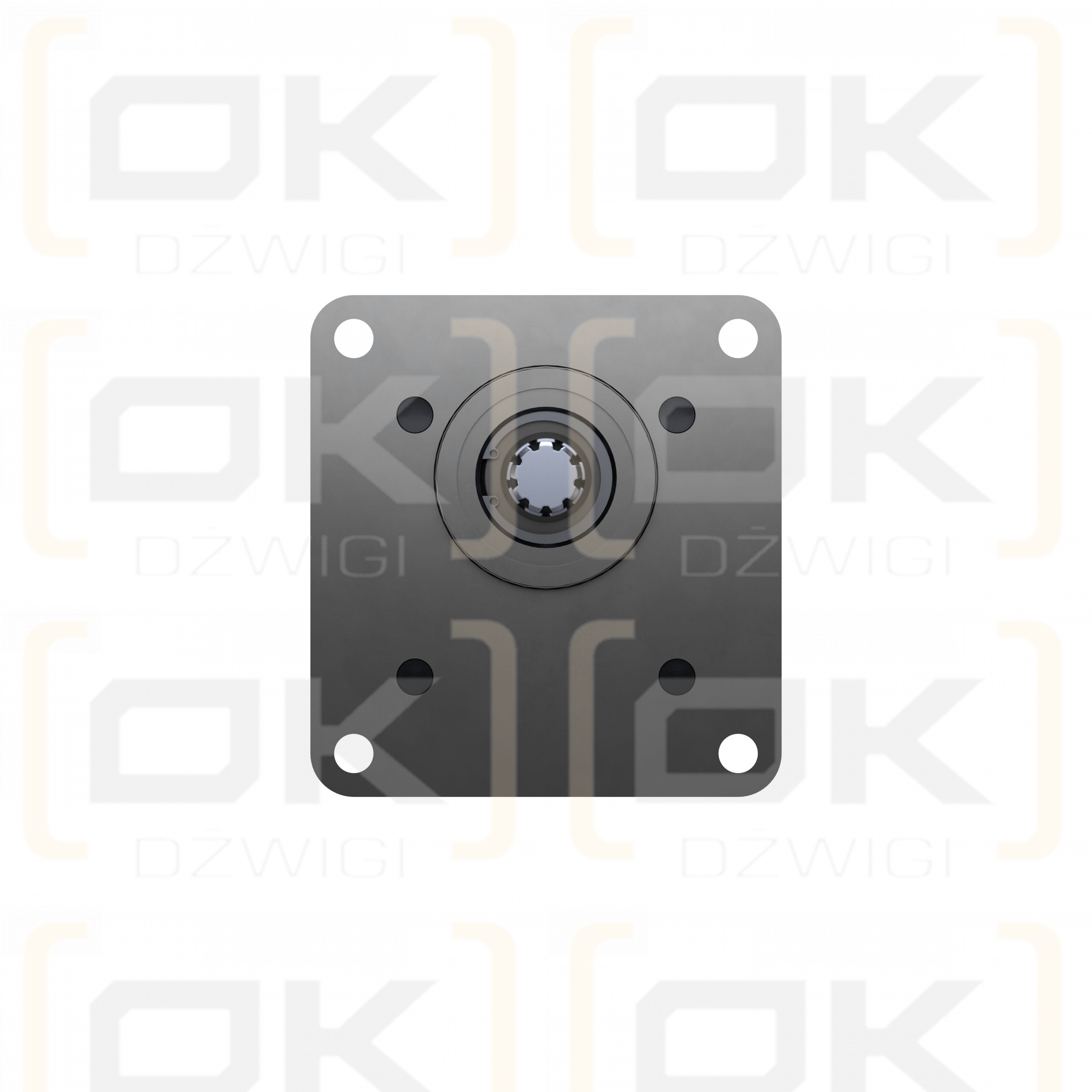 AZPFS-11-019/011LFX2020PB-S0031
