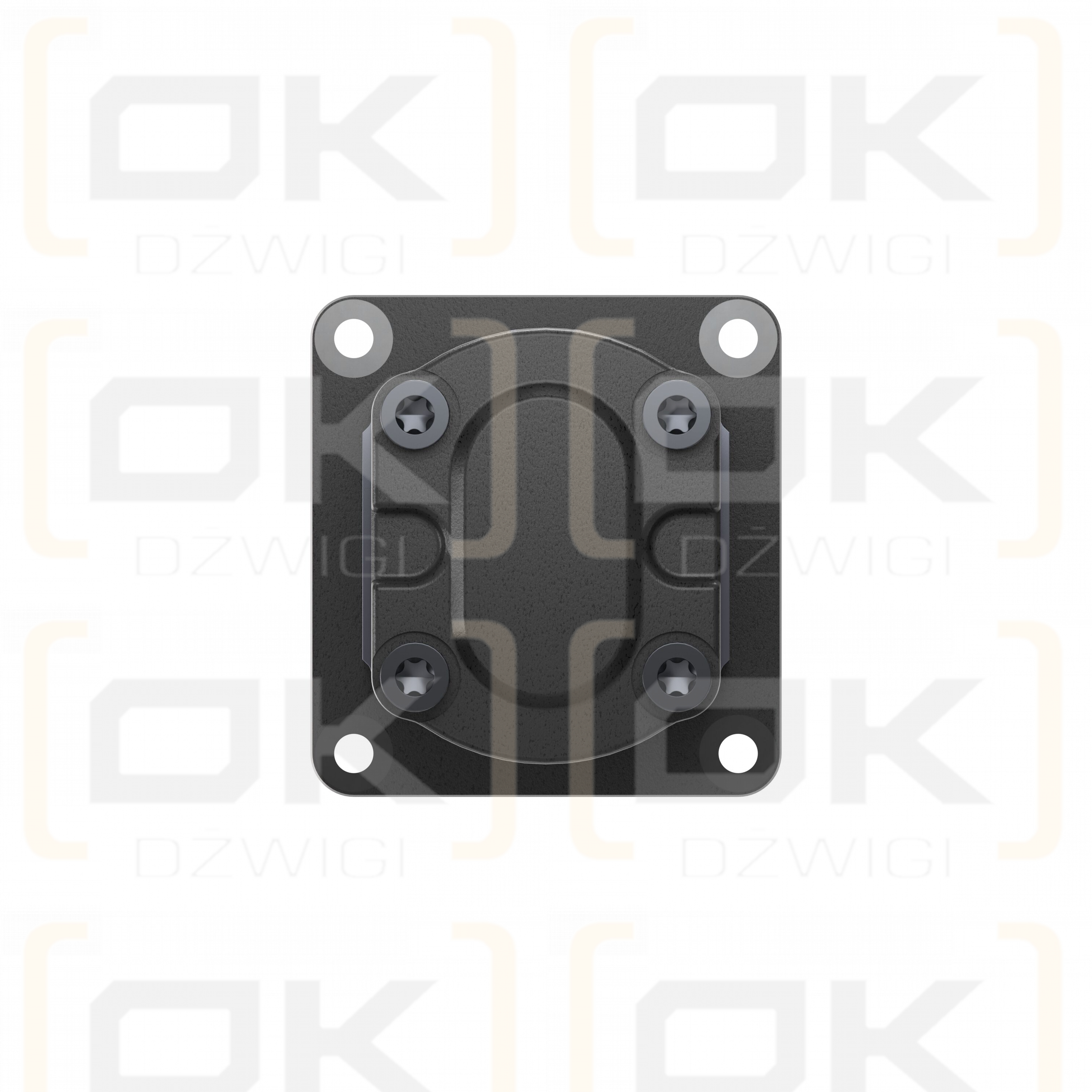 AZPFS-11-019/011LFX2020PB-S0031