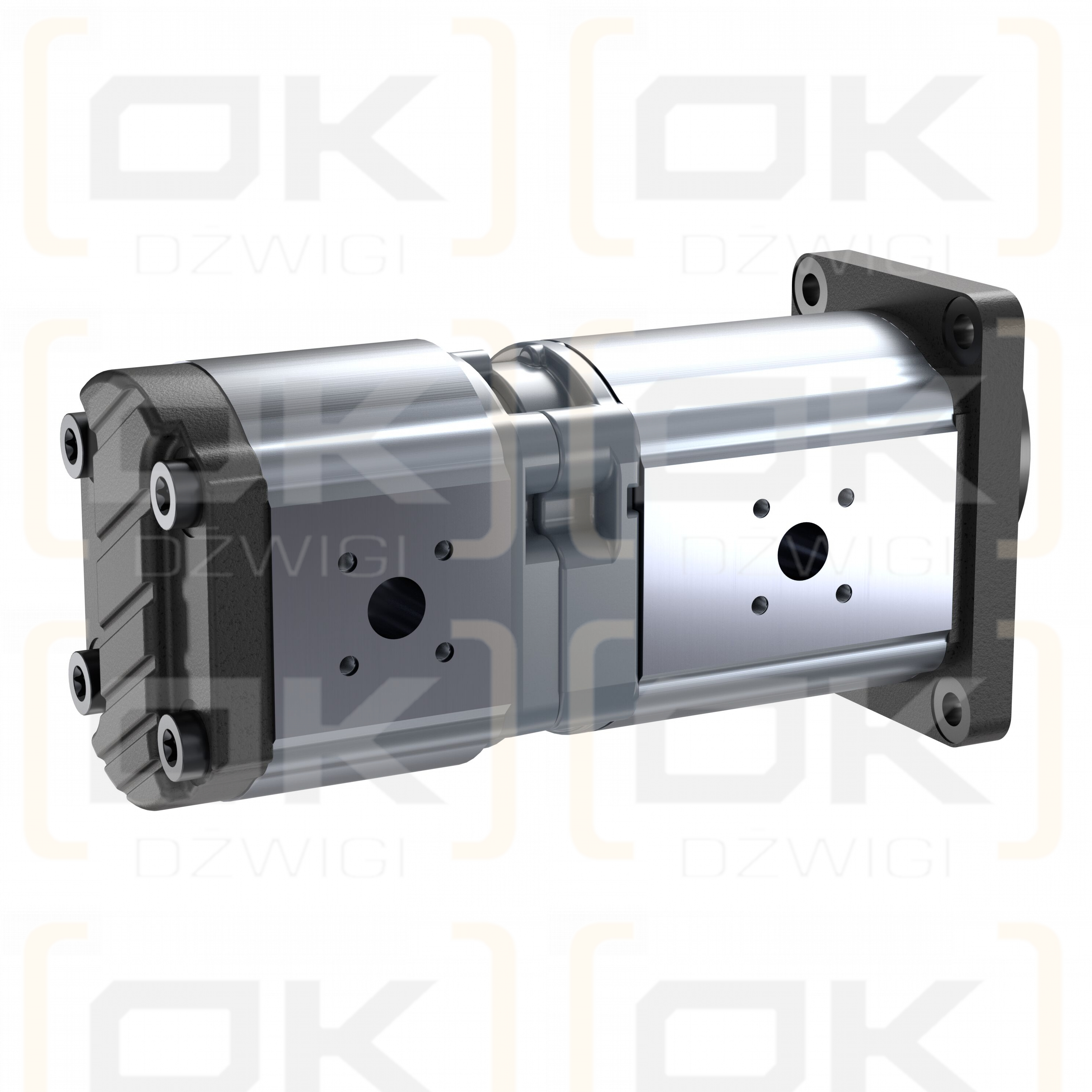AZPFS-21-025/014LFX2020PB-S0031