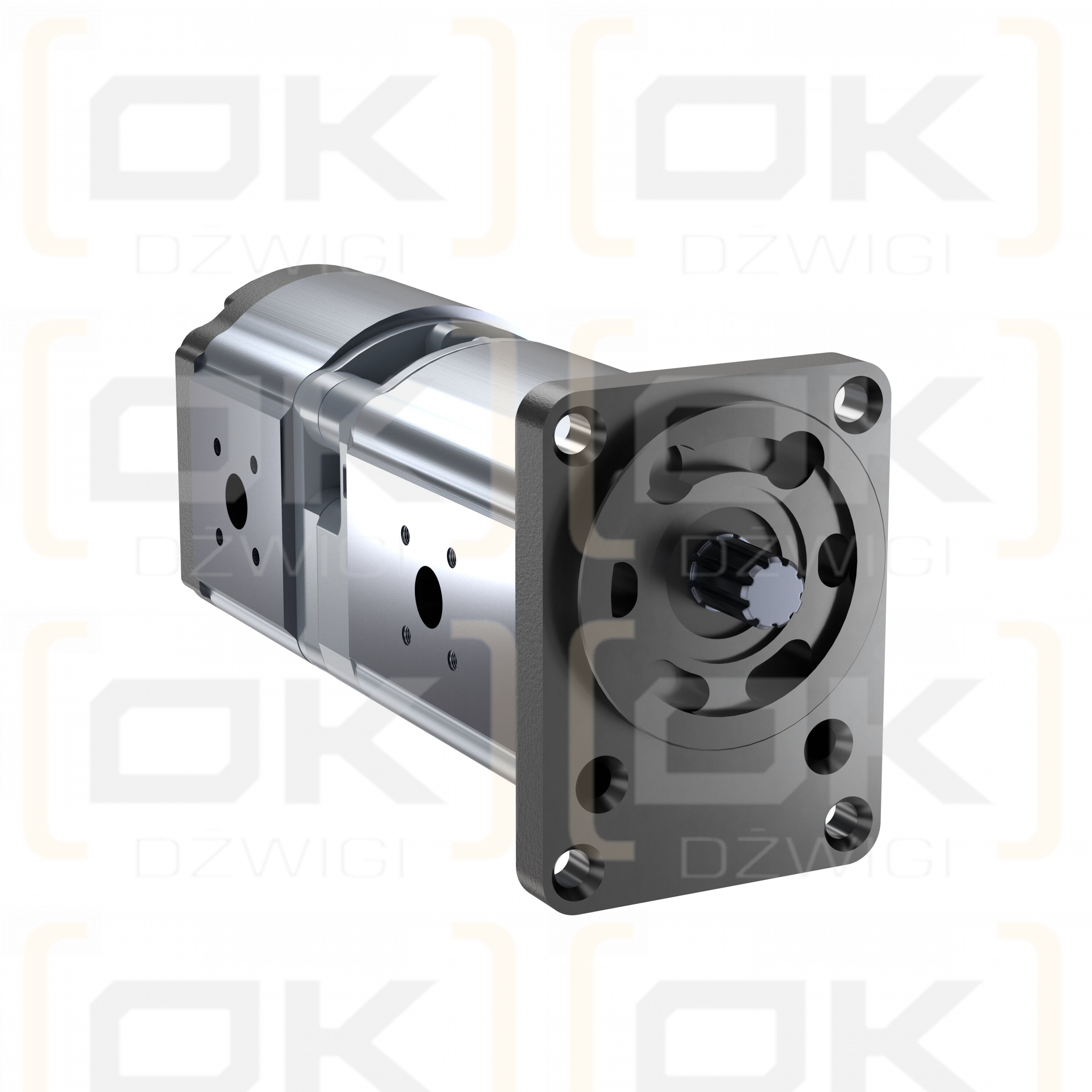 AZPFS-21-025/014LFX2020PB-S0031