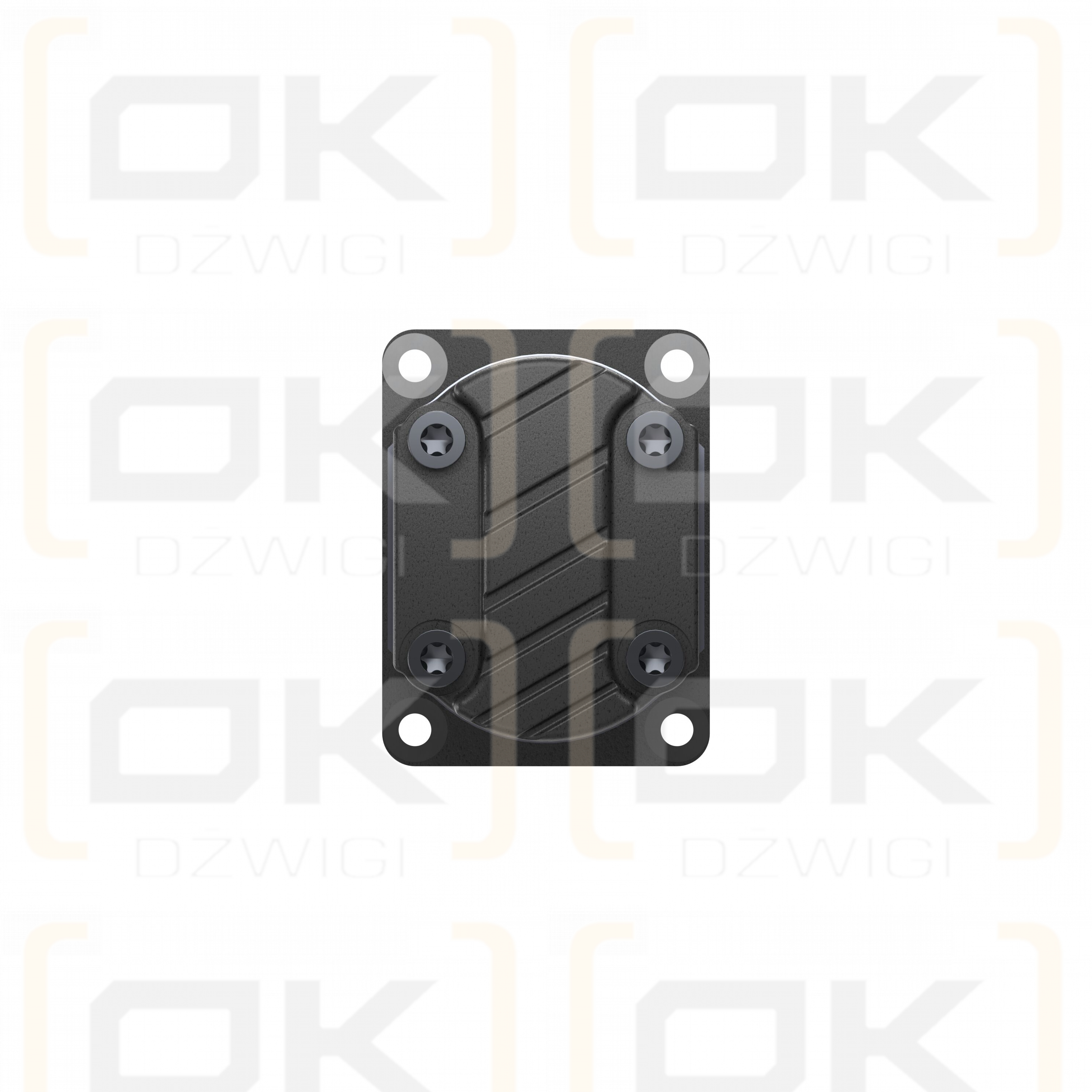 AZPFS-21-025/014LFX2020PB-S0031