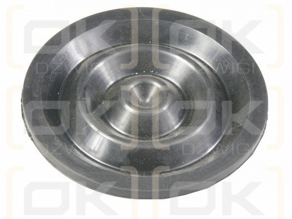 Przepona pompy opryskiwacza falista 124x11 4202040030