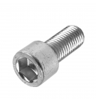Atlas screw (8000519)