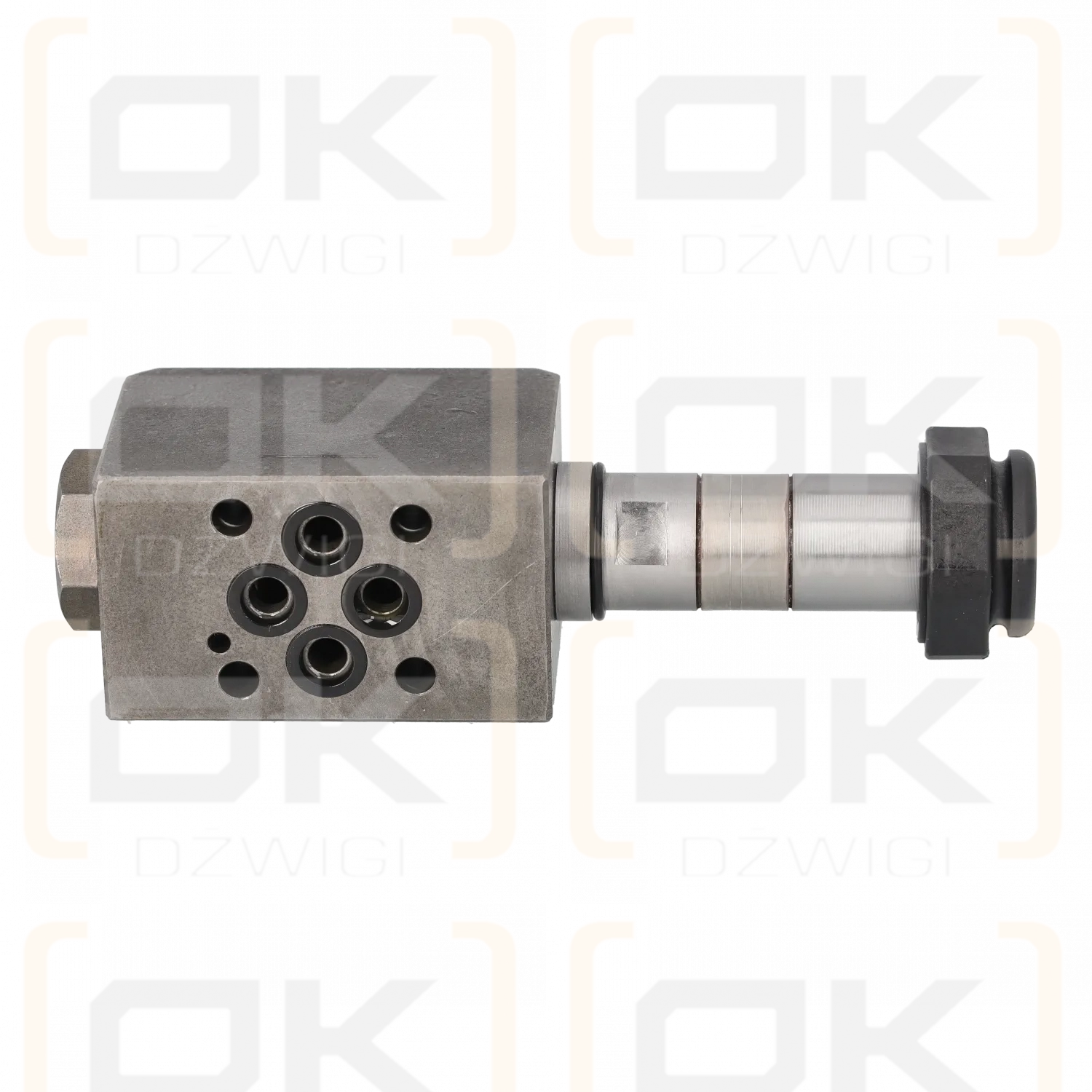 Argo-hytos RPE3-042Y51 distributor