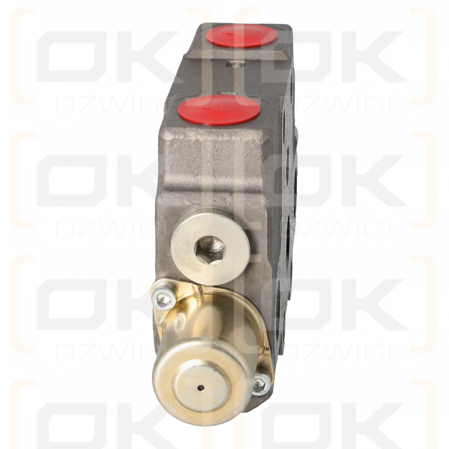 RS280, секция разветвителя S01A-1K-910-M1/2xTBSD202