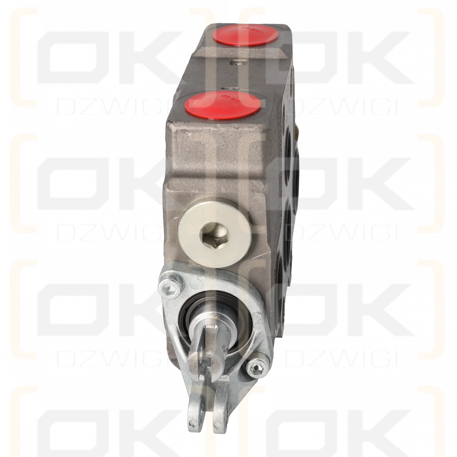 RS280, секция разветвителя S01A-1K-910-M1/2xTBSD202