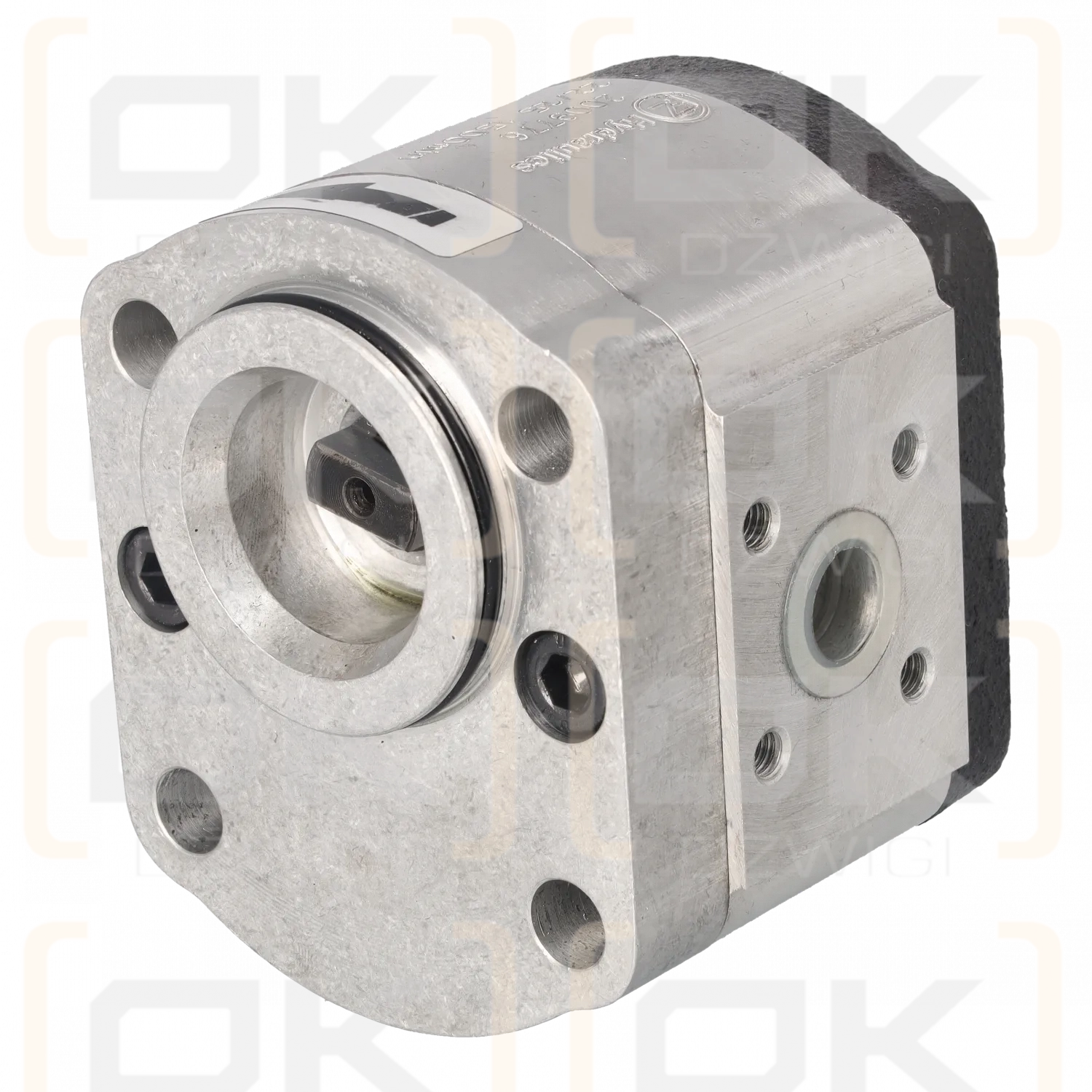 Reemplazo de bomba de engranajes Bosch Rexroth 1517222376