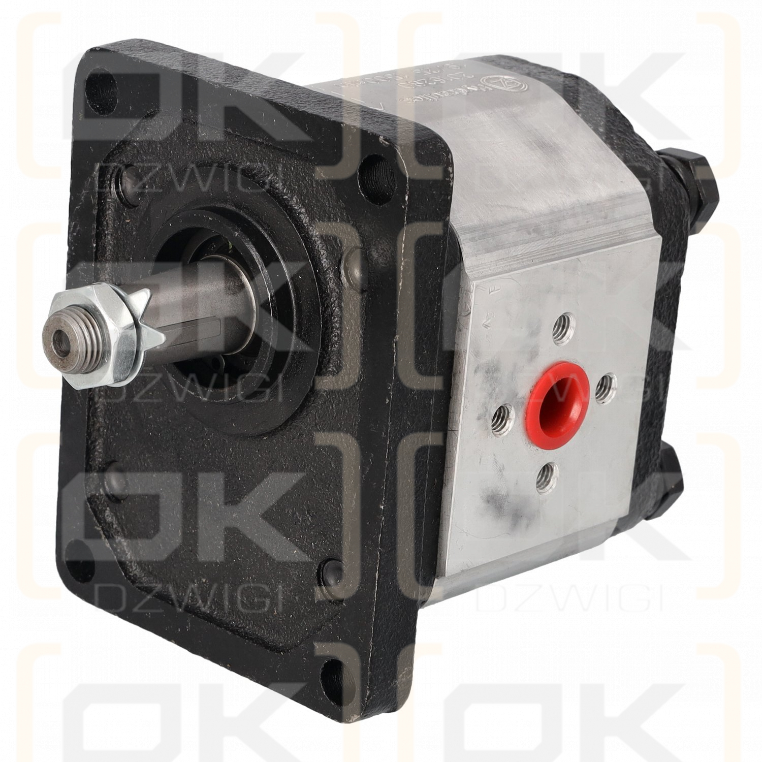 Hydraulic gear pump