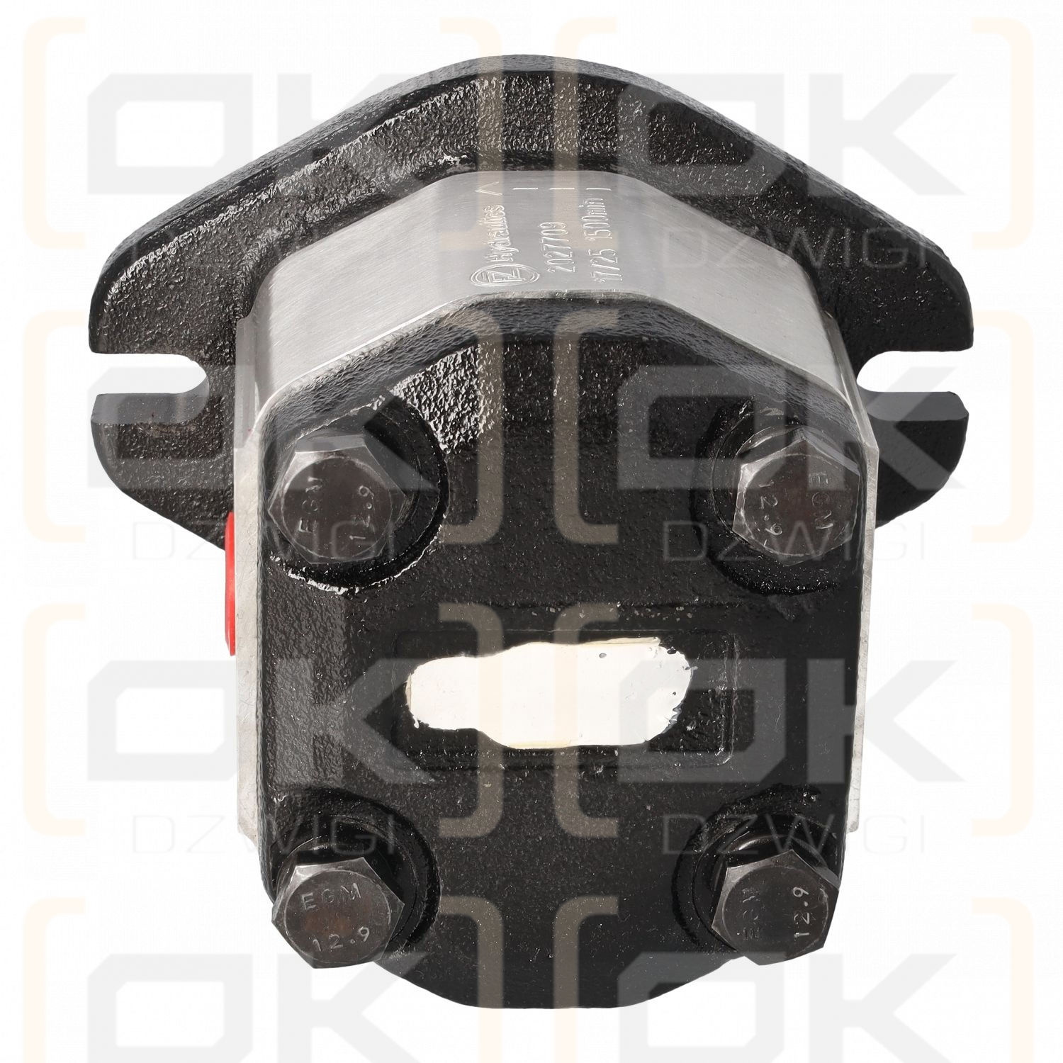 Hydraulische Zahnradpumpe - Ersatz Danfoss SNP2/4 D SC06 REP G/50