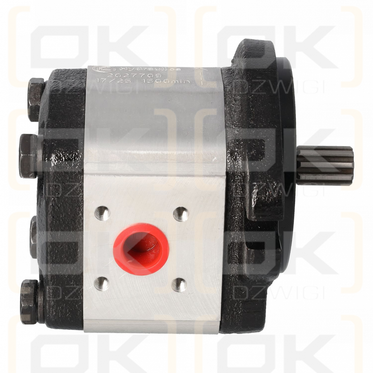 Hydraulische Zahnradpumpe - Ersatz Danfoss SNP2/4 D SC06 REP G/50