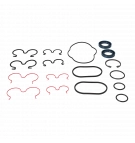 Uszczelnienia pompy KP30-A8K9-LS/PLP20 S/D (BOB)