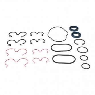 Uszczelnienia pompy KP30-A8K9-LS/PLP20 S/D (BOB)