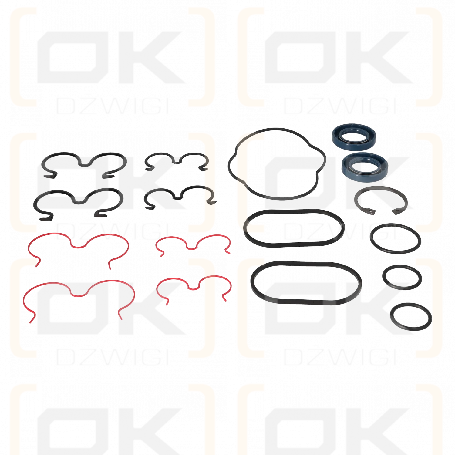 Uszczelnienia pompy KP30-A8K9-LS/PLP20 S/D (BOB)