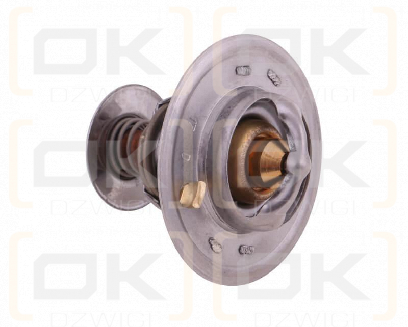 Termostat 218039A1 Case POLMO