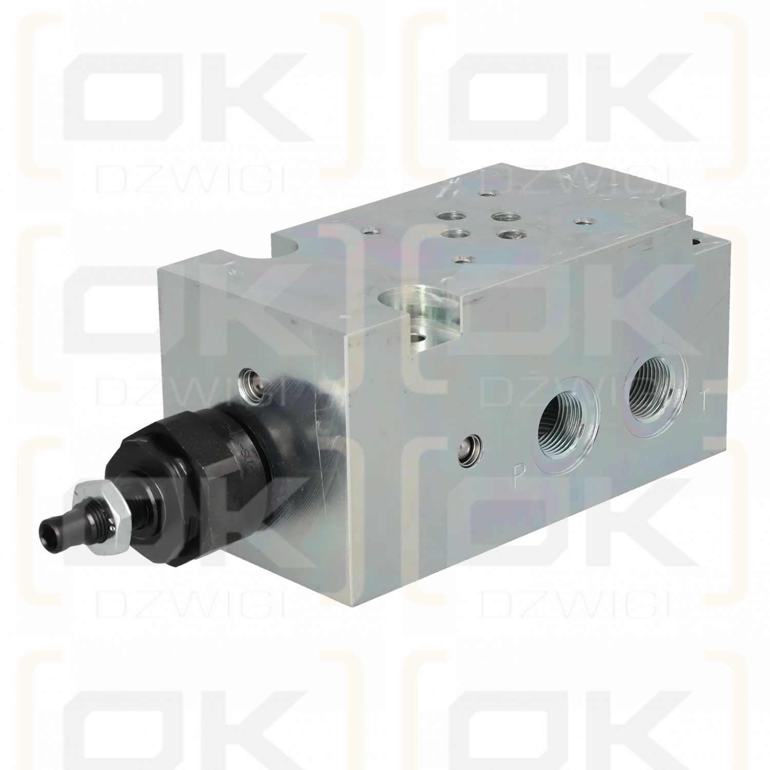 Argo Hytos DP6-06-QP2-G1 valve block