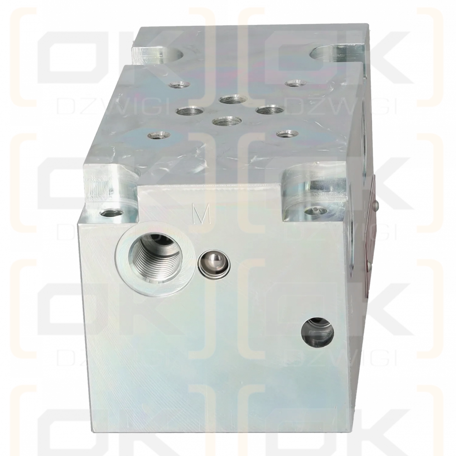Argo Hytos DP6-06-QP2-G1 valve block