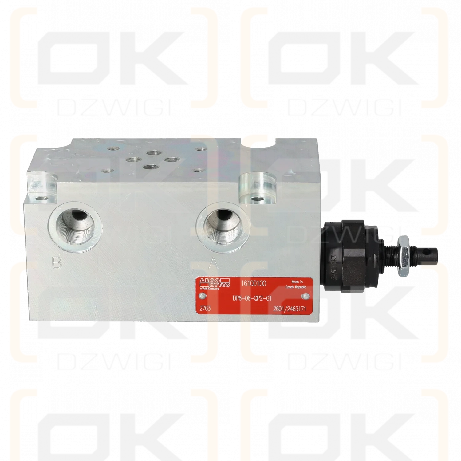 Argo Hytos DP6-06-QP2-G1 valve block