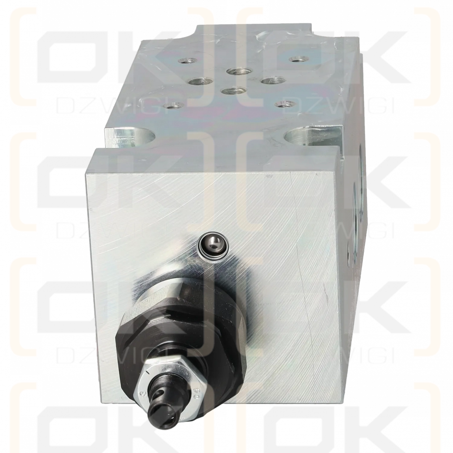 Argo Hytos DP6-06-QP2-G1 valve block