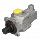 Meiller 52L Hydraulikpumpe alte Nummer 210/1c