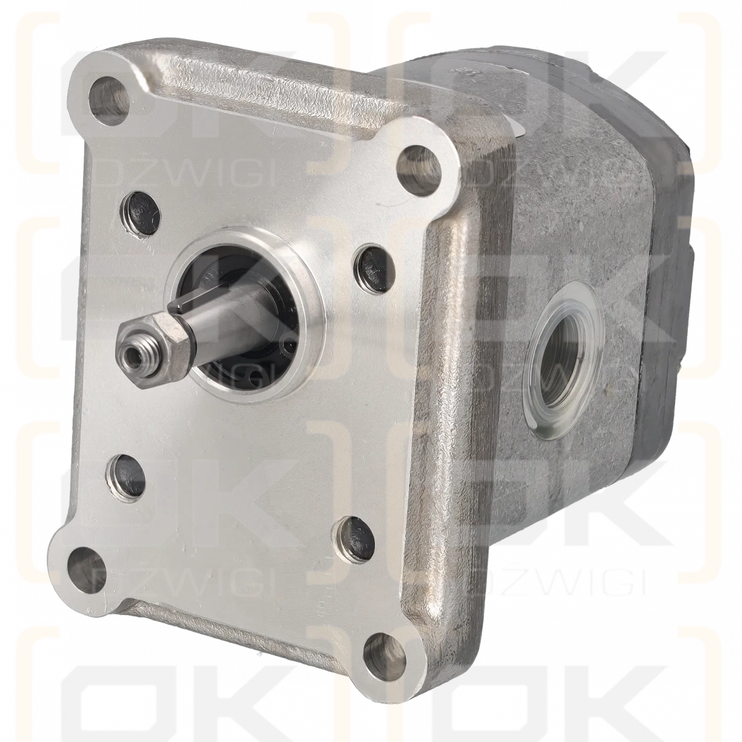 Parker PGP502A0043CP2D1NE2E2B1B1 Hydraulikpumpe