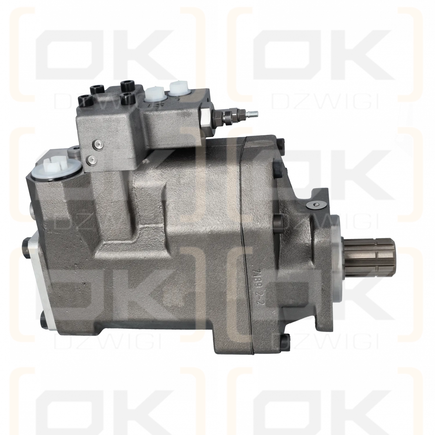 Parker VP1-060-RG-ZN-Z-000-350/25 No Paint pump